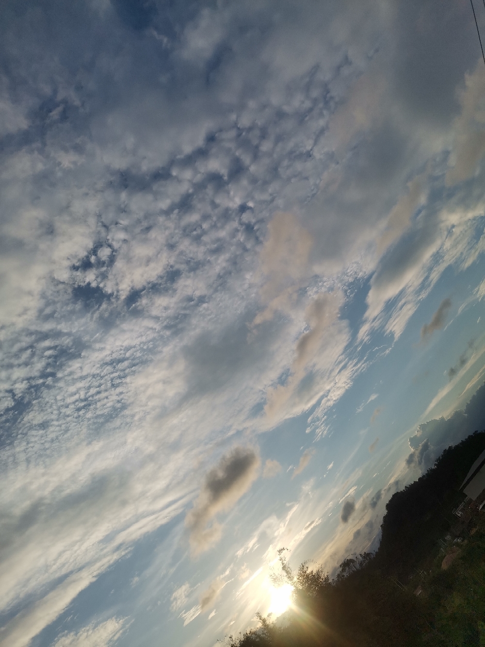 IMG_20210608_182709.jpg