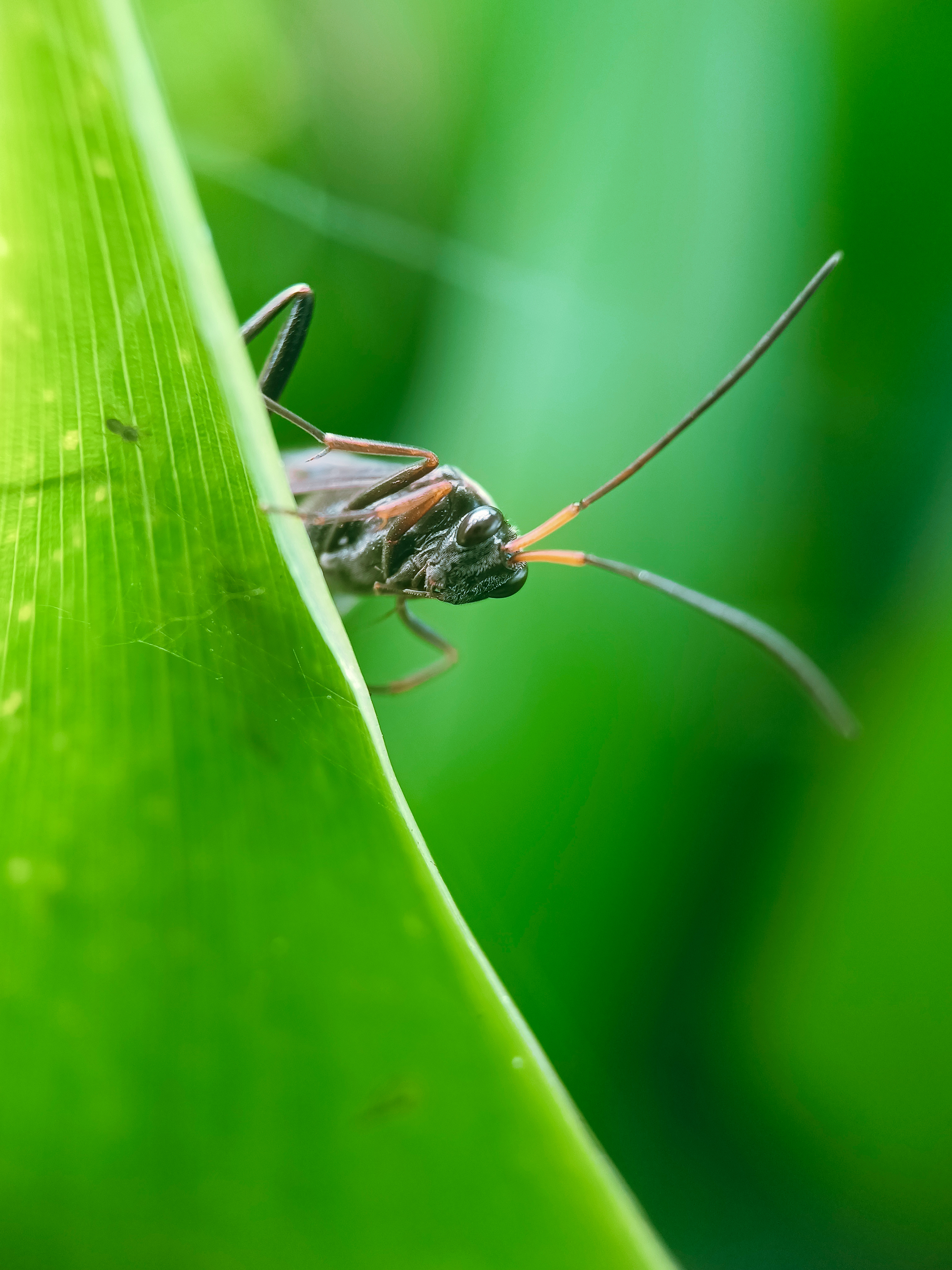 IMG_20210606_091129_polarr.jpg