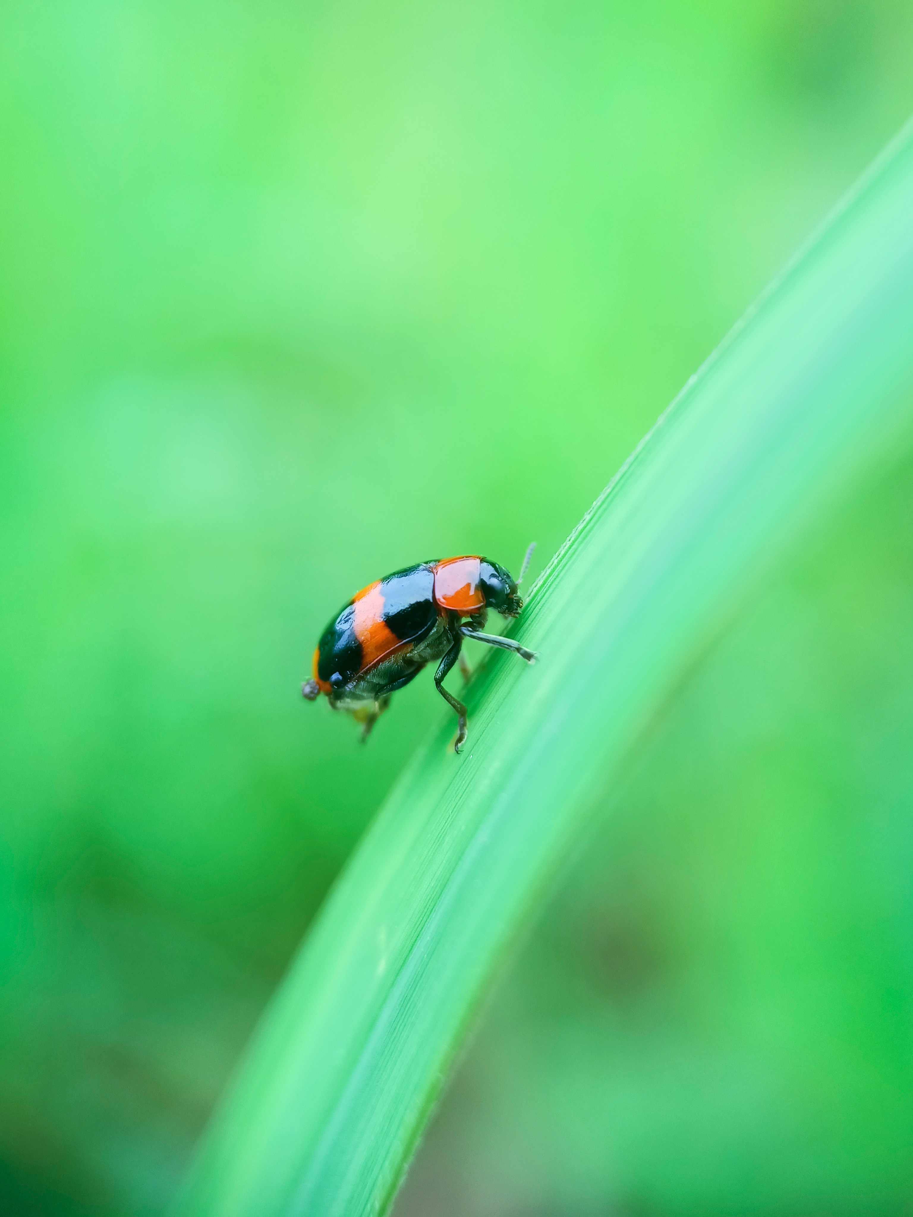 IMG_20210601_095847_polarr.jpg