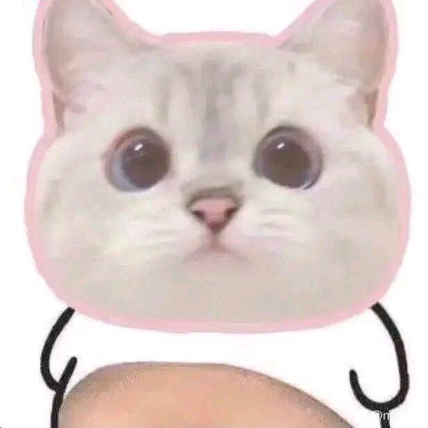 1550229826.jpeg