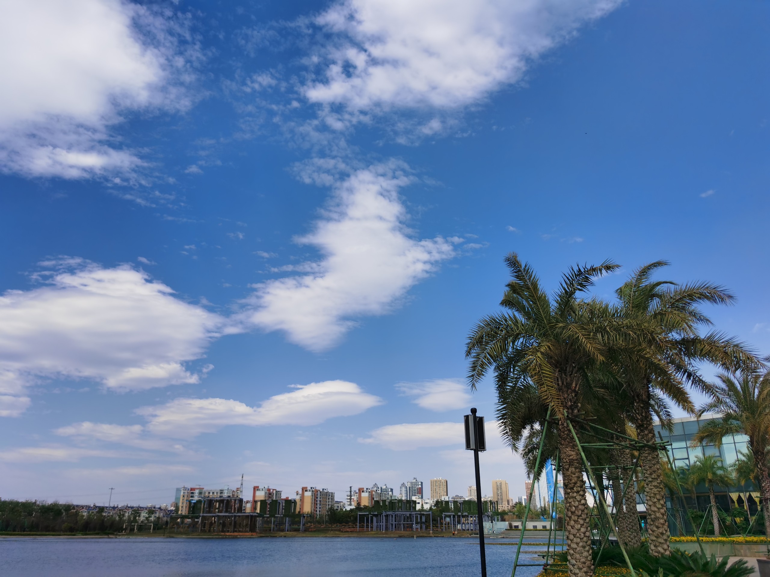 IMG_20210403_153157.jpg