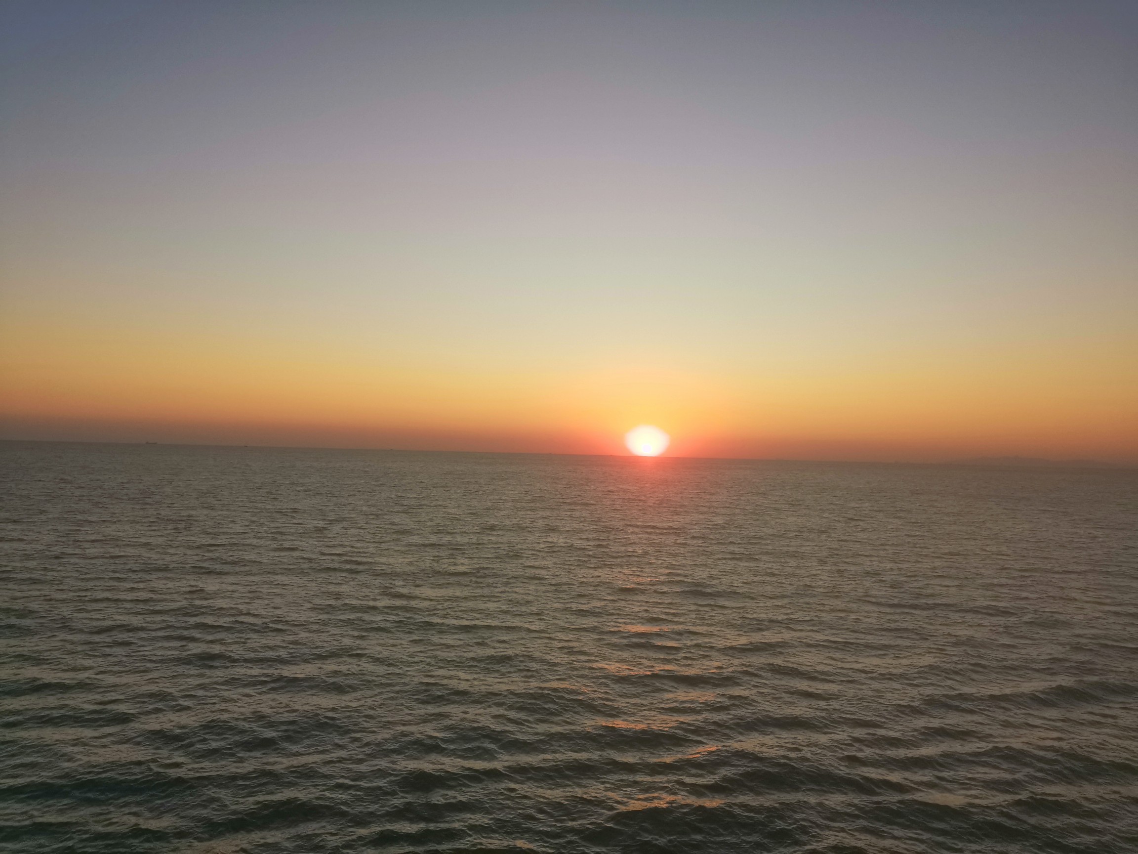 IMG_20201023_170635.jpg