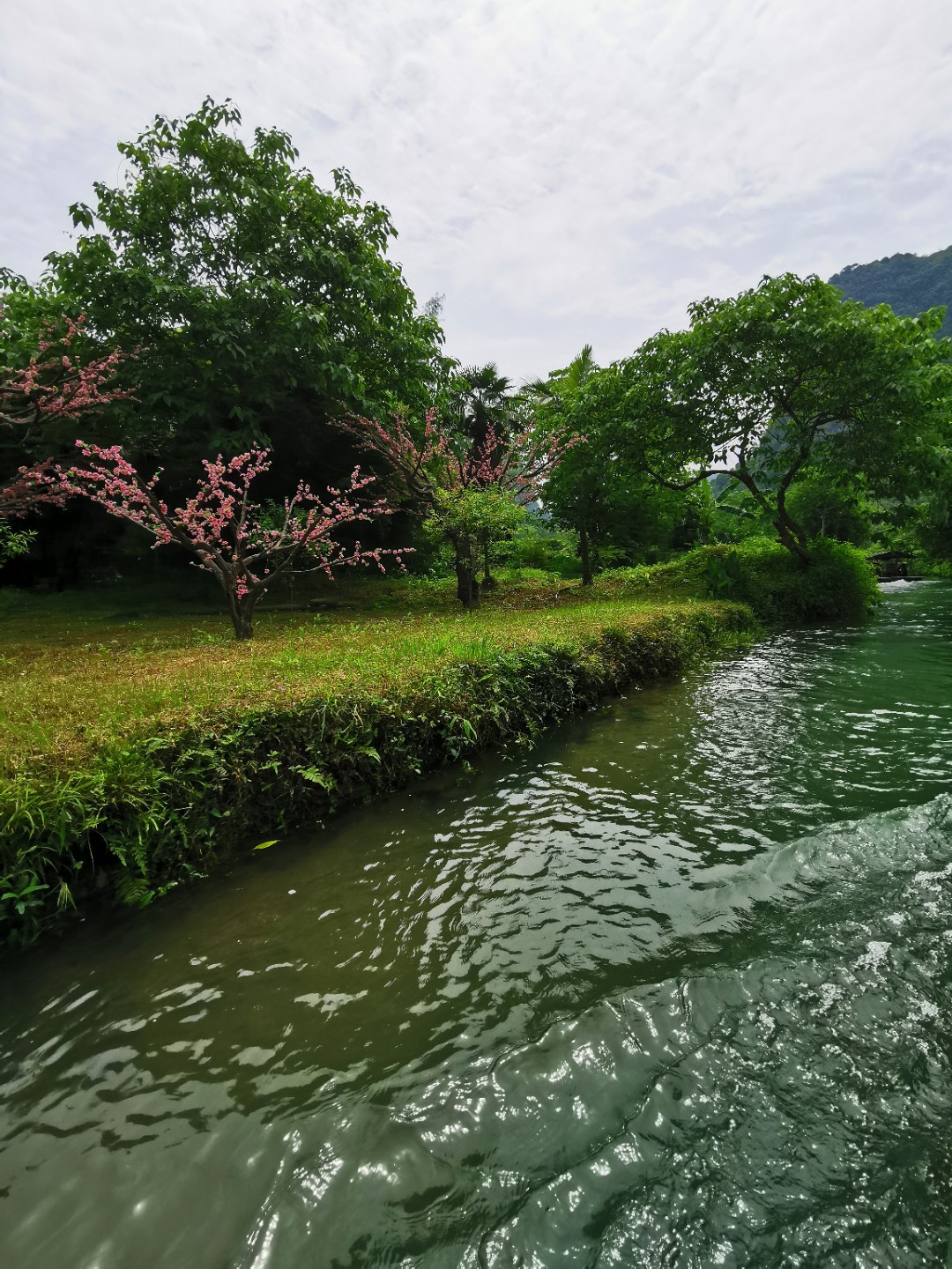 IMG_20190502_135654.jpg