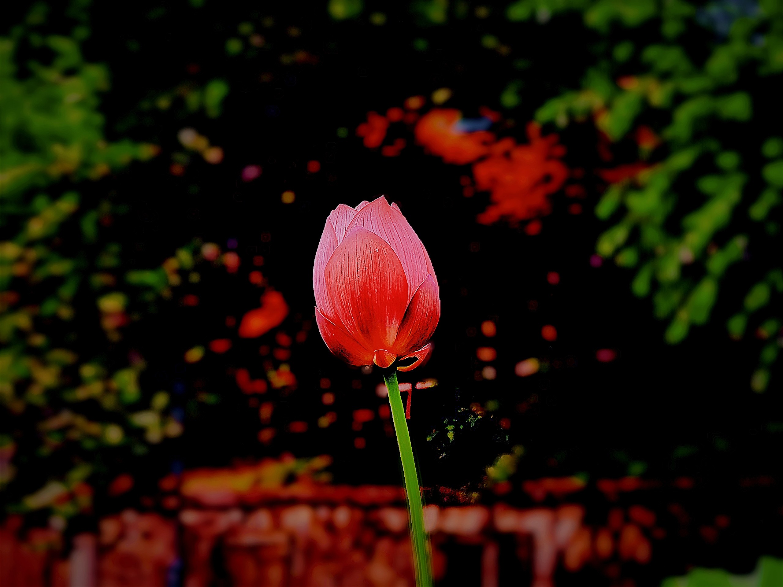 IMG_PITU_20210609_154333.jpg