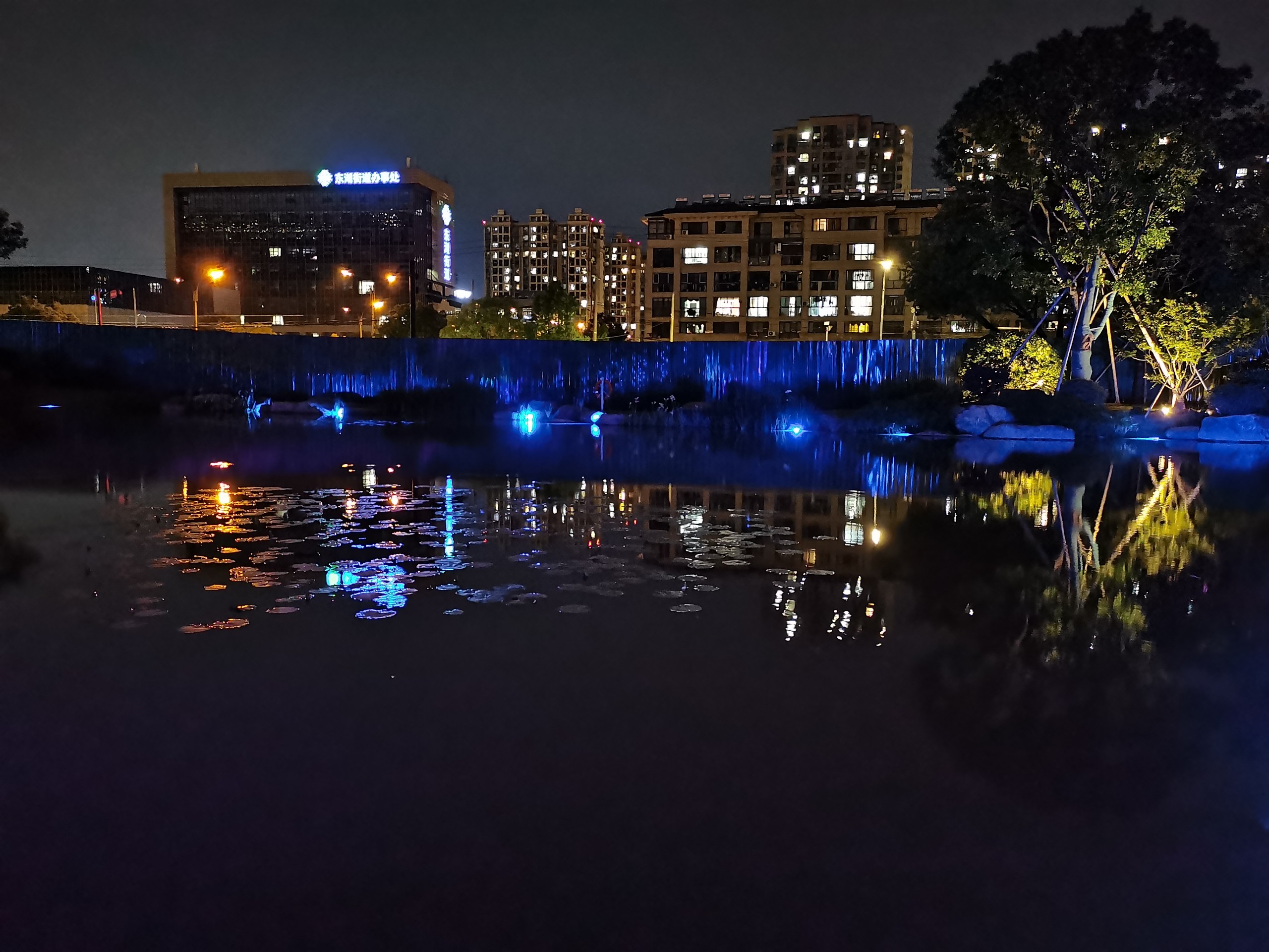IMG_20210611_201029.jpg