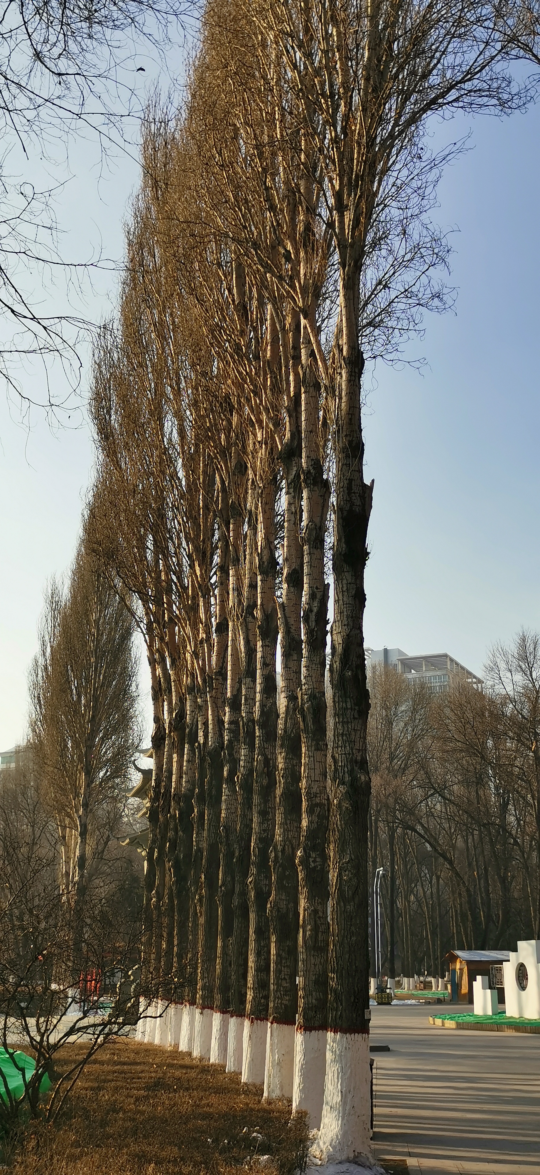 IMG_20191220_100647.jpg