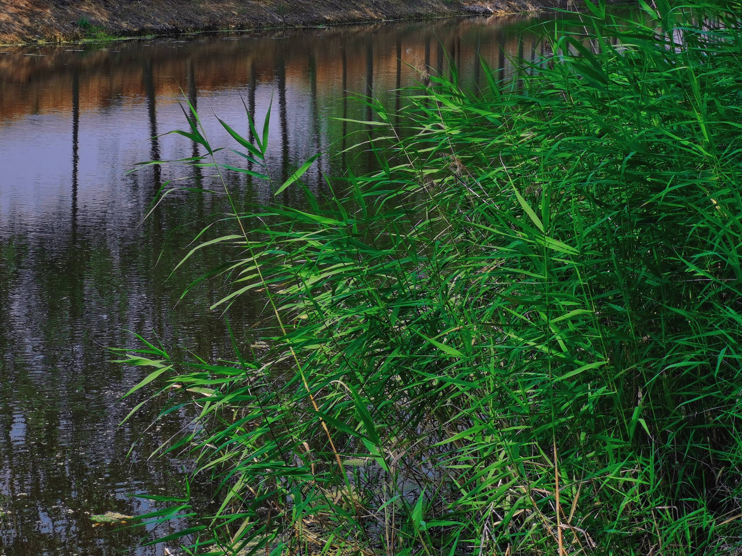 retouch_2021061022582542.jpg