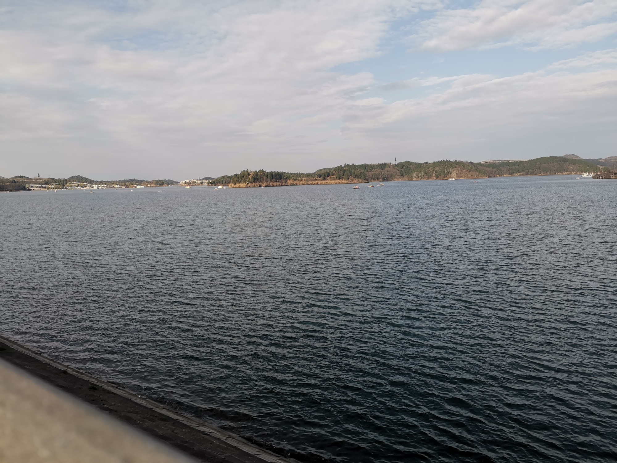 IMG_20210215_164914.jpg