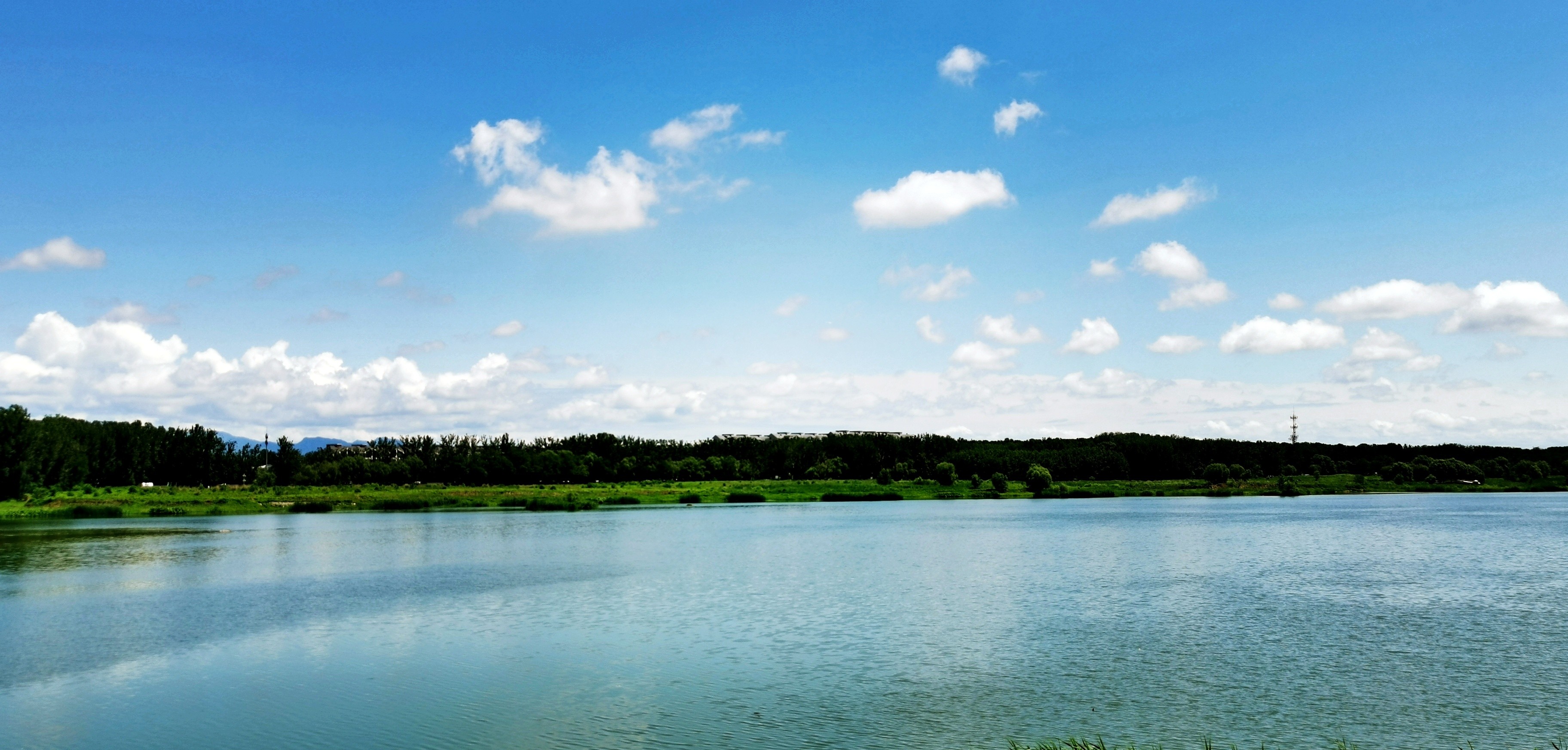 MIX_1625288704966_image_49e65e5b0a22ecf0d549bf8be3a3b4db-01.jpeg