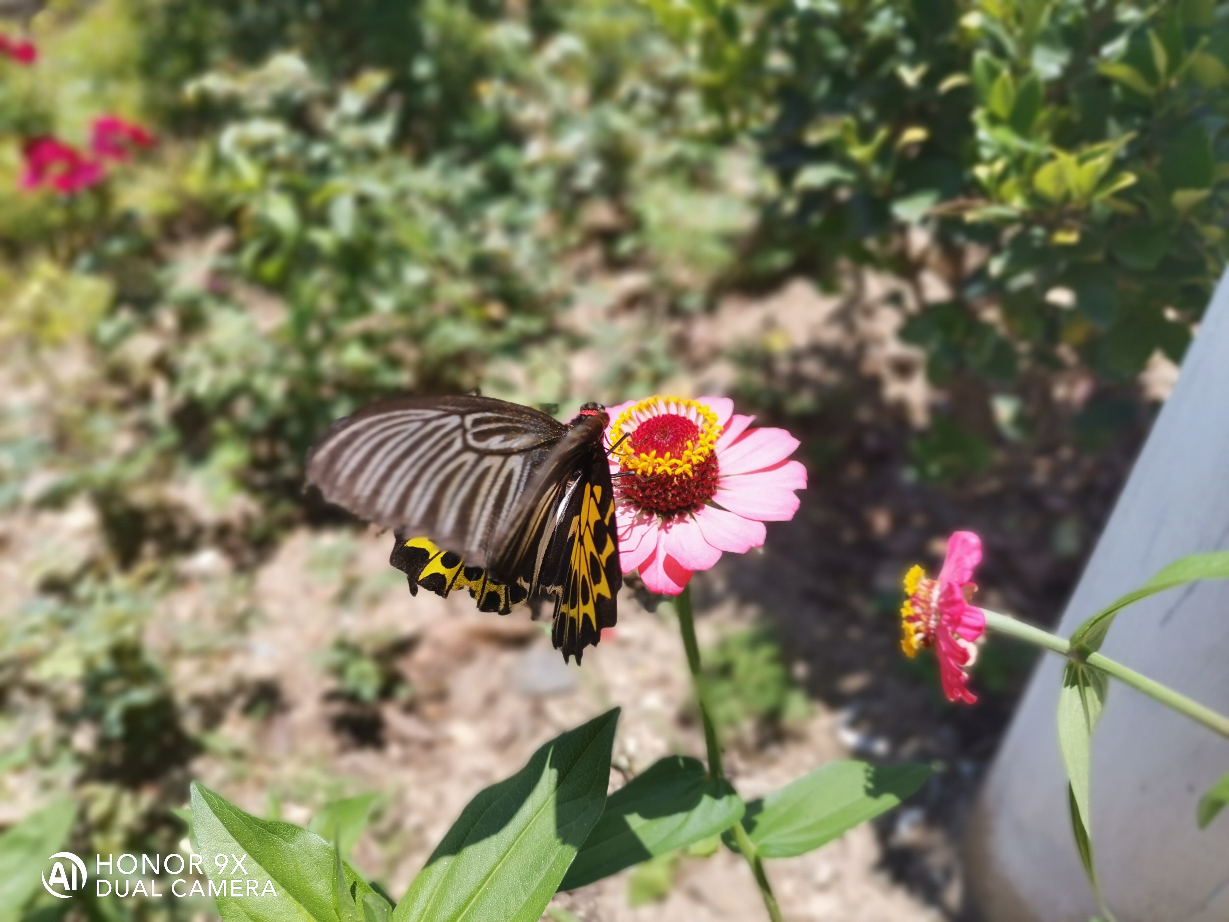 IMG_20210703_123329.jpg