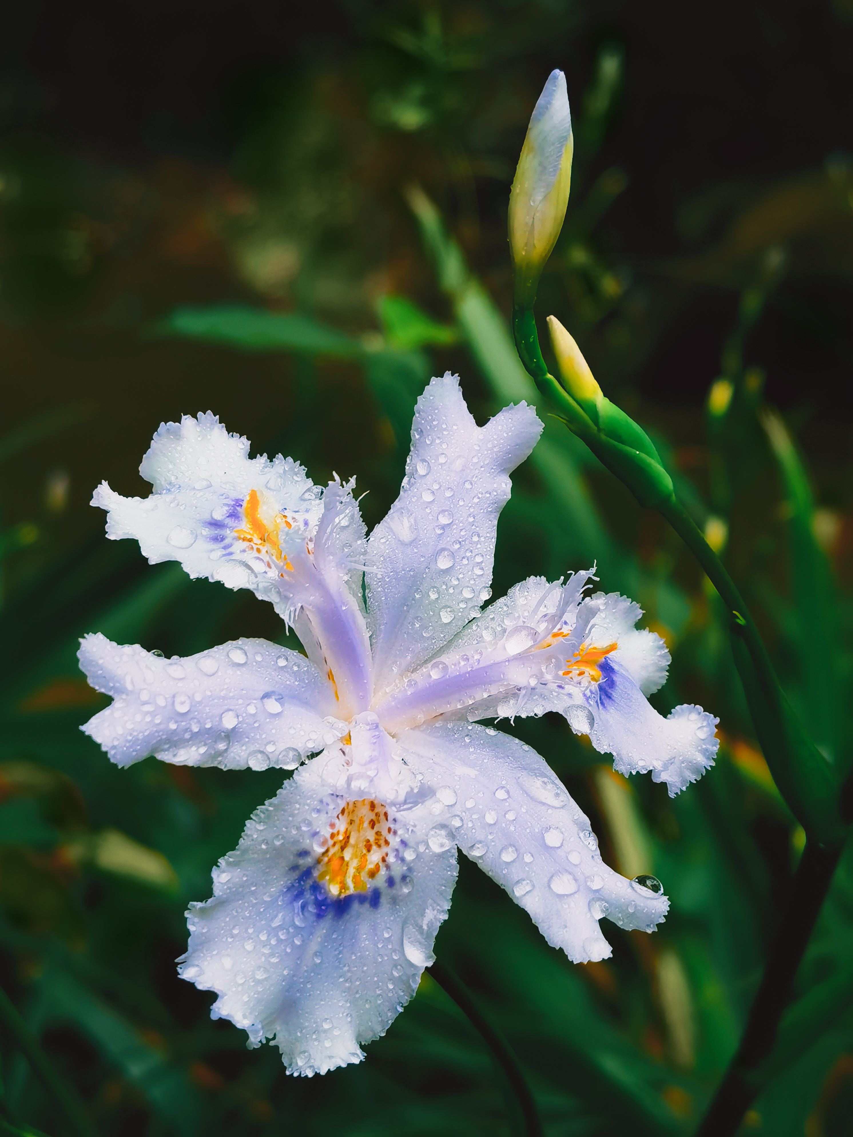 IMG_20210311_152102_polarr_1.jpg