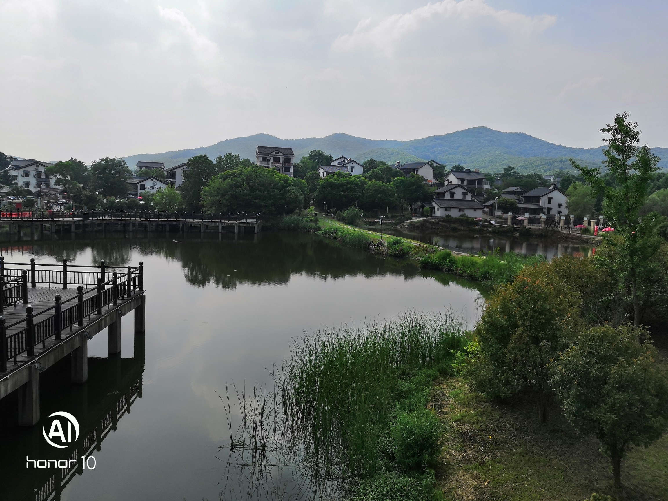 IMG_20190608_144918.jpg