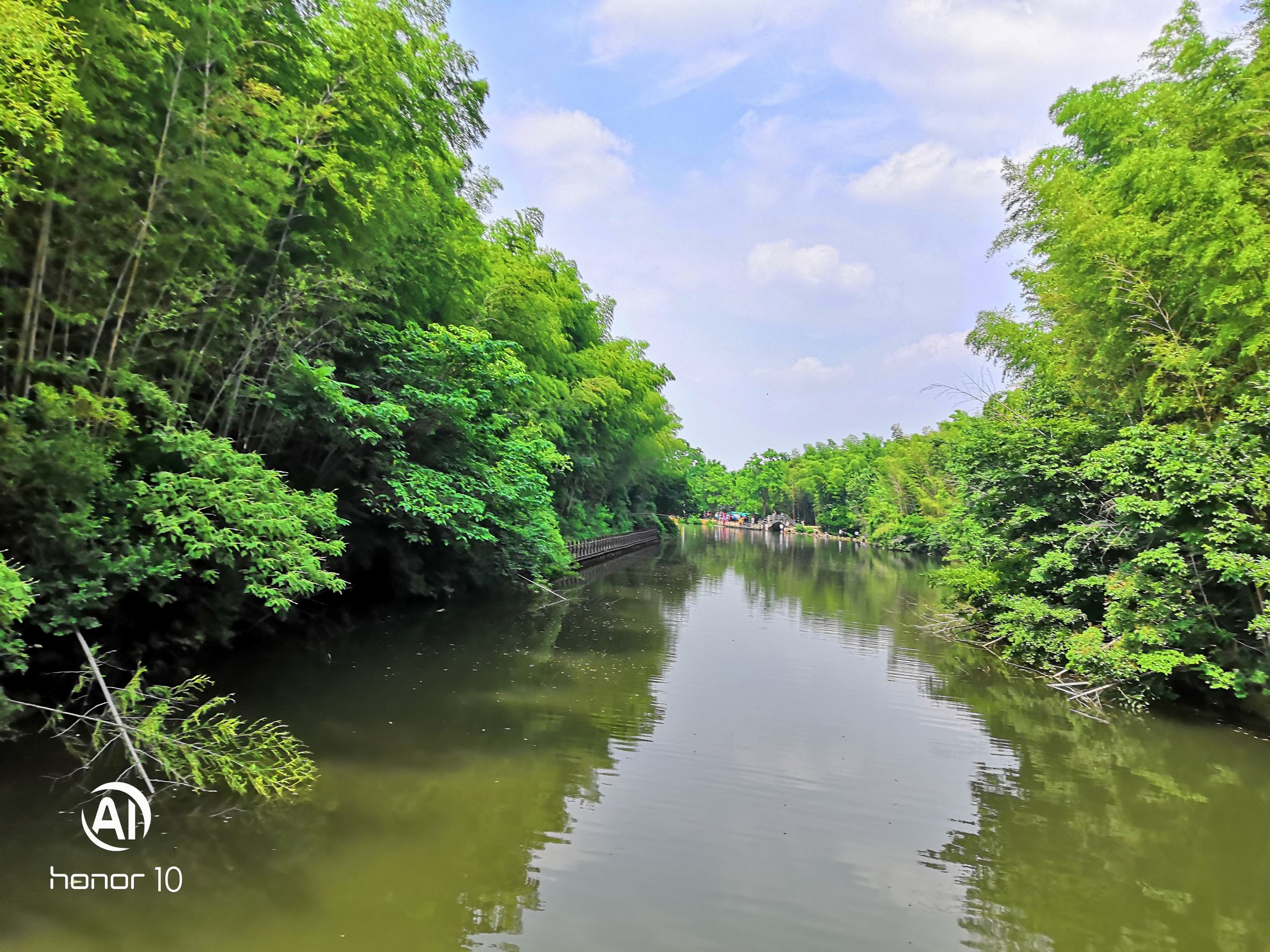 IMG_20190608_140930.jpg