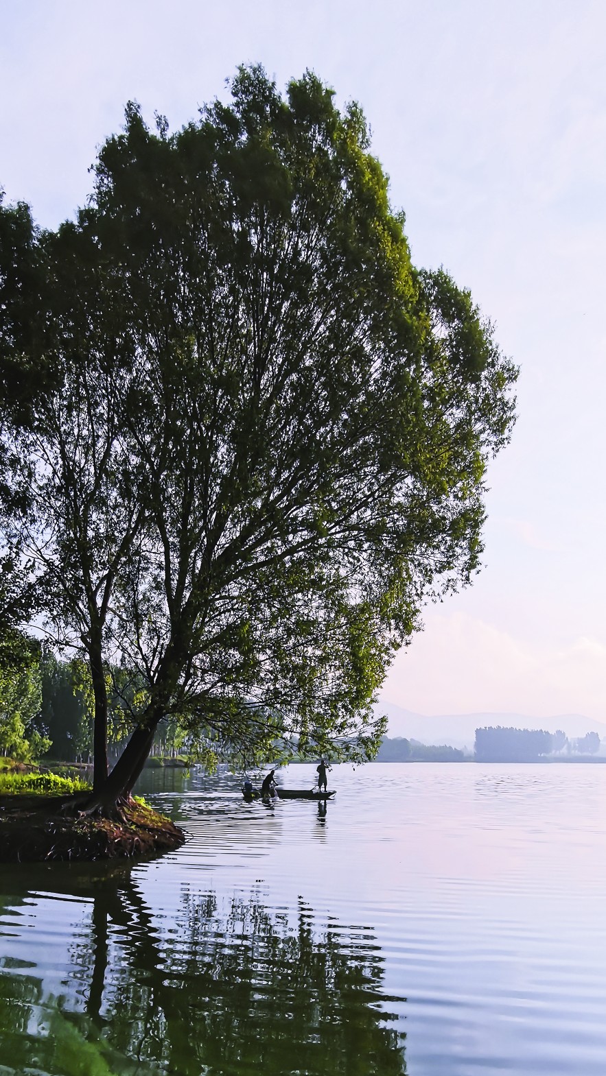 IMG_20210719_064028_副本.jpg