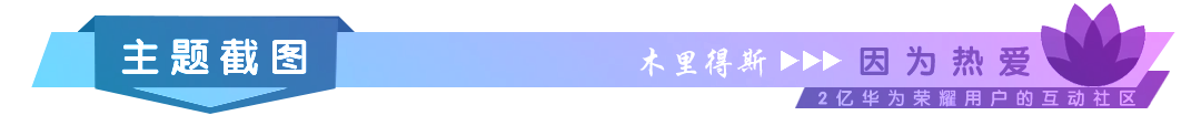 3主题截图.png