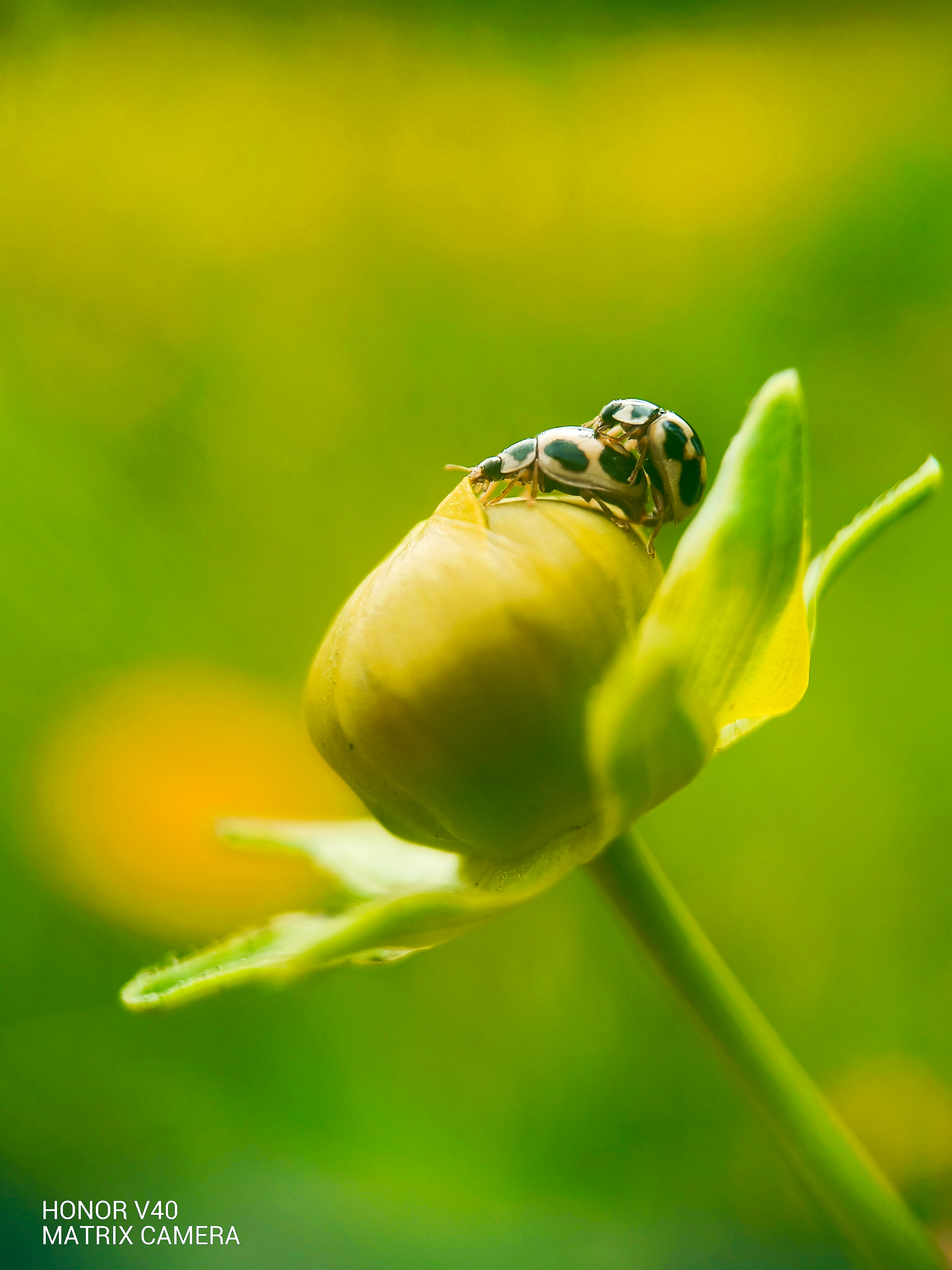 IMG_20210520_153215_polarr.jpg