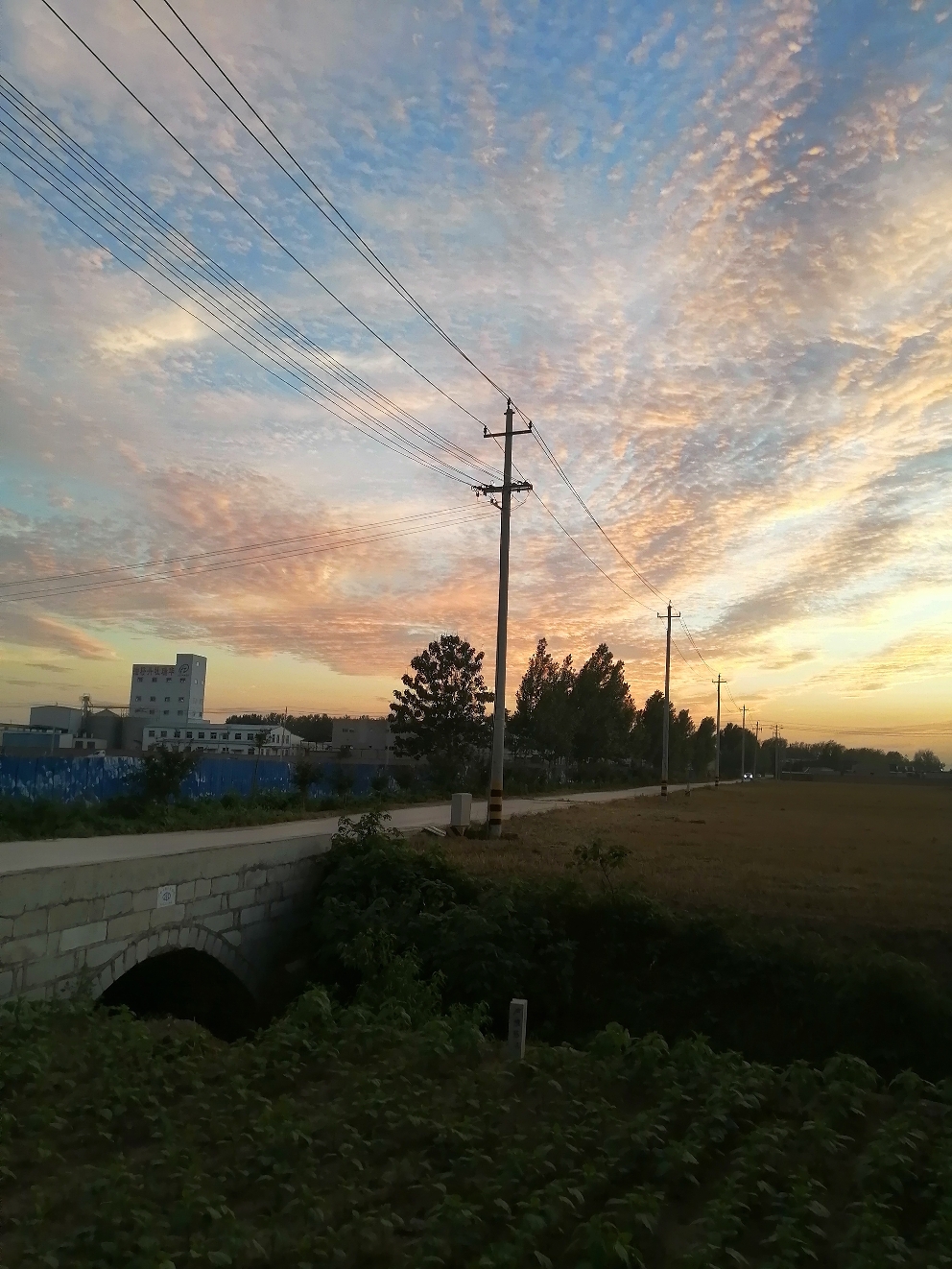 IMG_20210618_194141.jpg