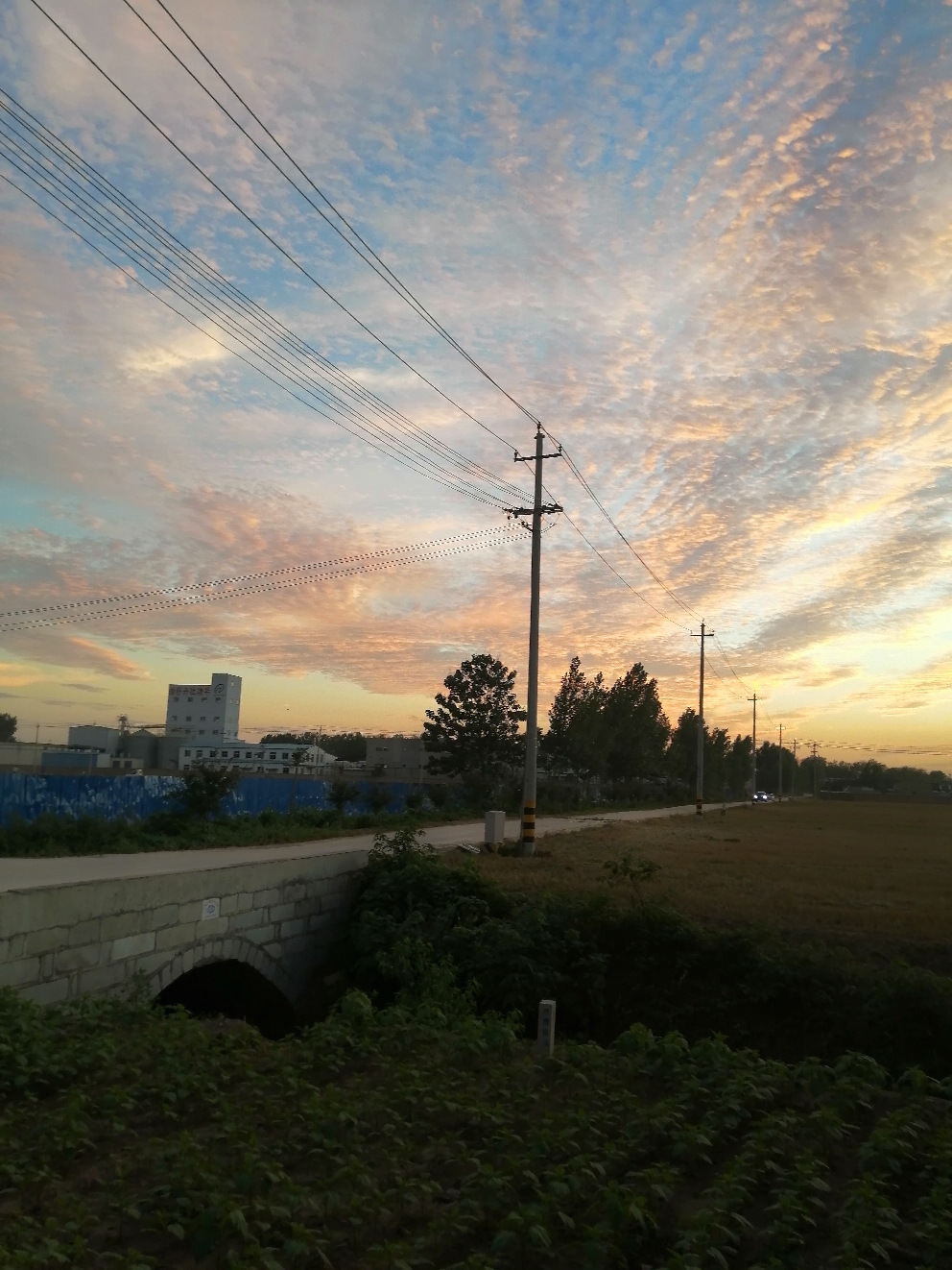IMG_20210618_194153.jpg