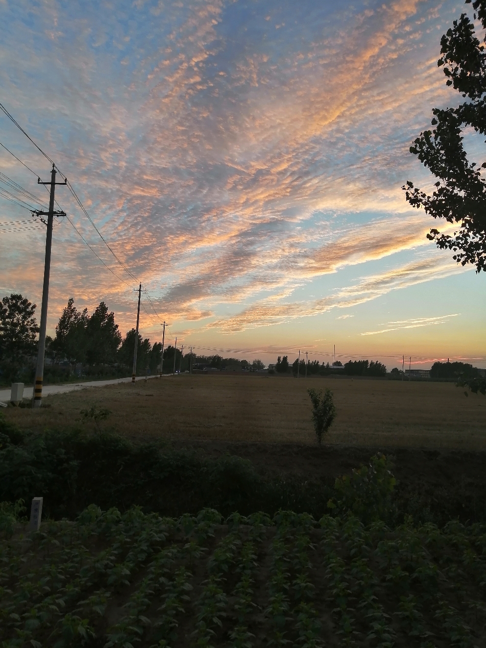 IMG_20210618_194124.jpg