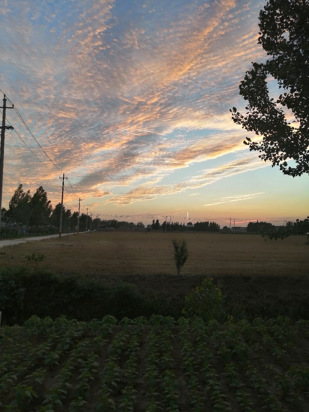 IMG_20210618_194117.jpg