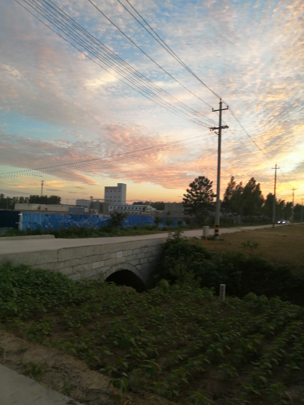 IMG_20210618_194159.jpg
