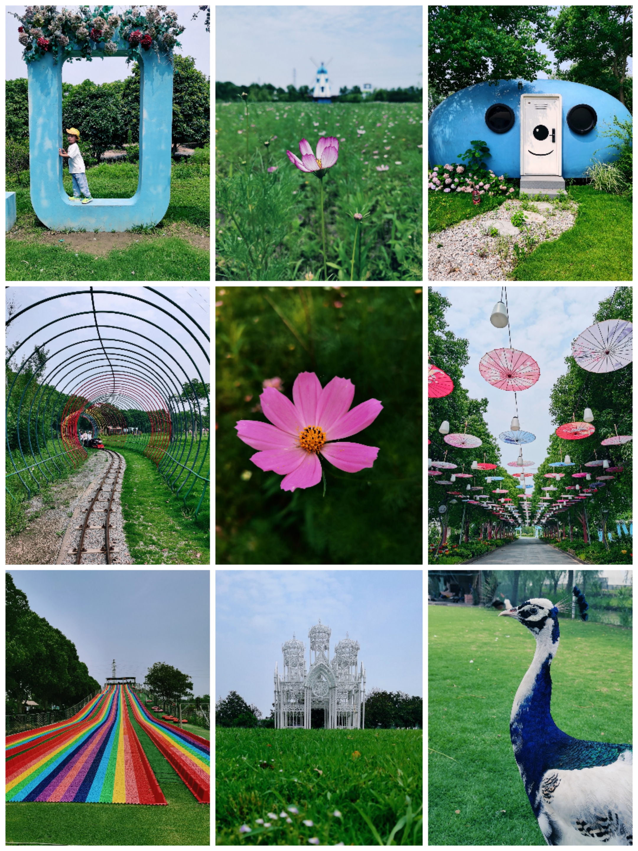 Collage_20210703_122732.jpg