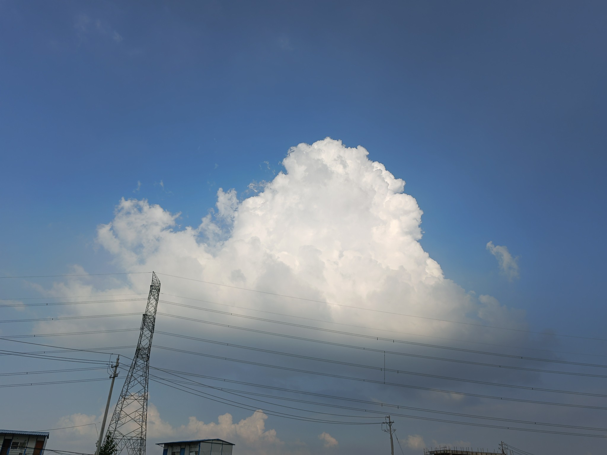 IMG_20210724_174617.jpg