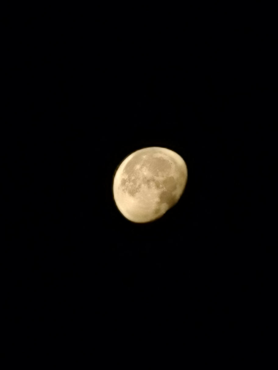 IMG_20210530_052549.jpg