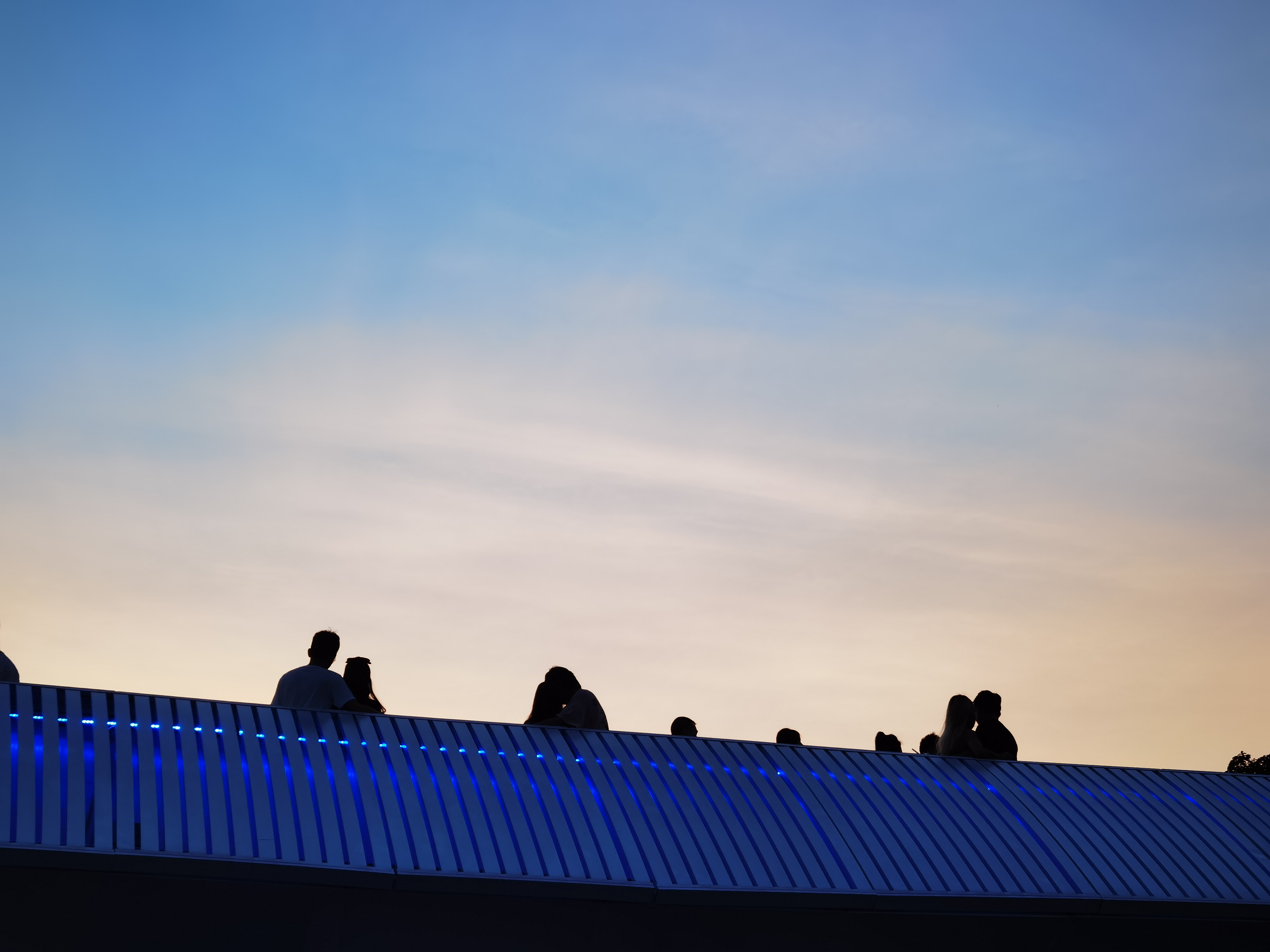 IMG_20210724_191139 (1).jpg