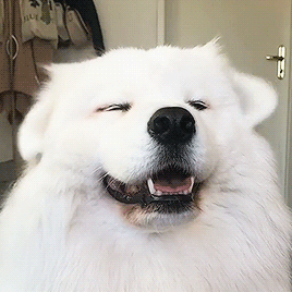 img-1627038265319005O14jrgy1gs61m5hxhqg307g07gx6p.gif