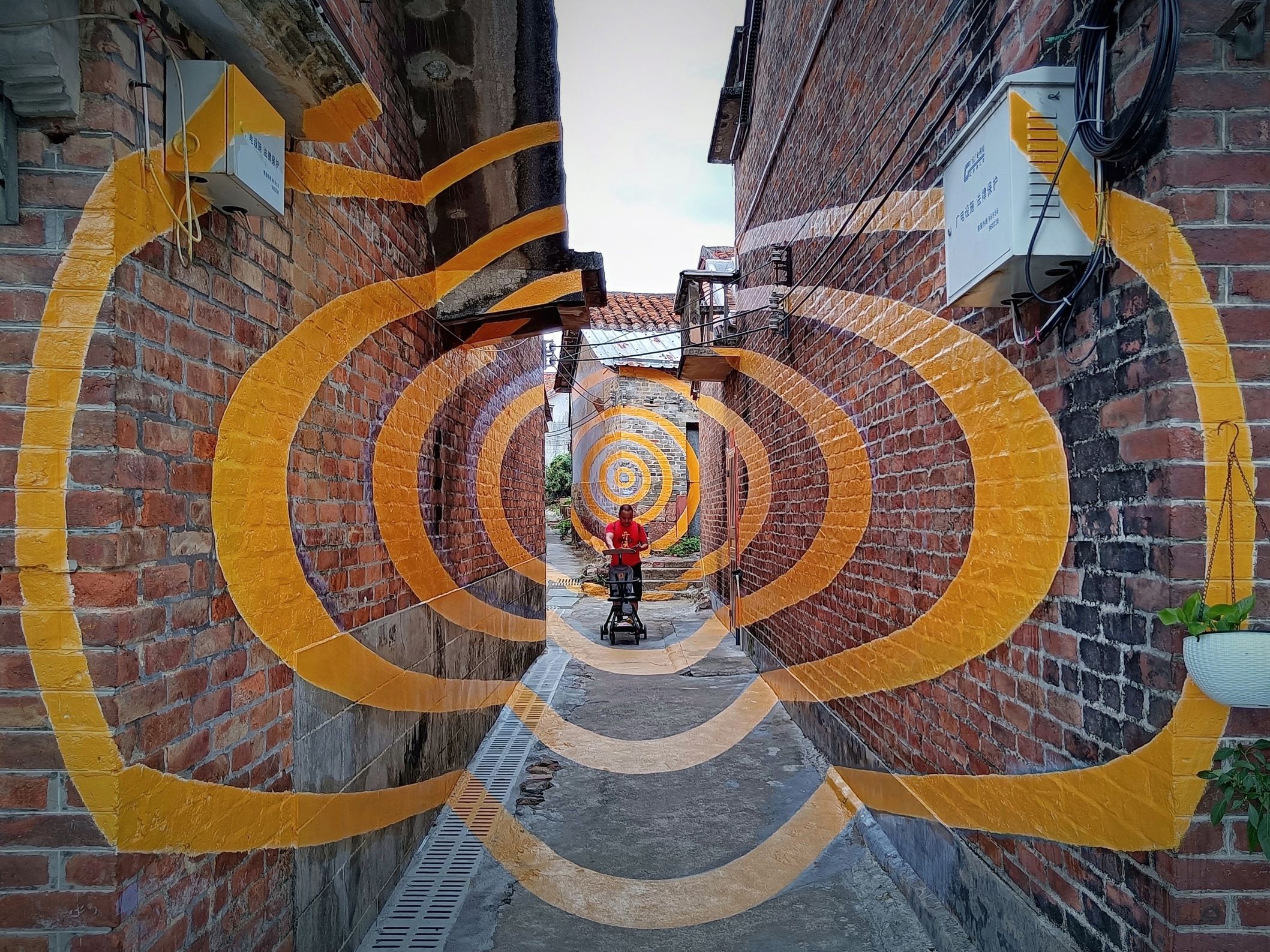 MIX_1623626737835_MIX_1623597574820_IMG_20210613_160103-01-01_polarr.jpg