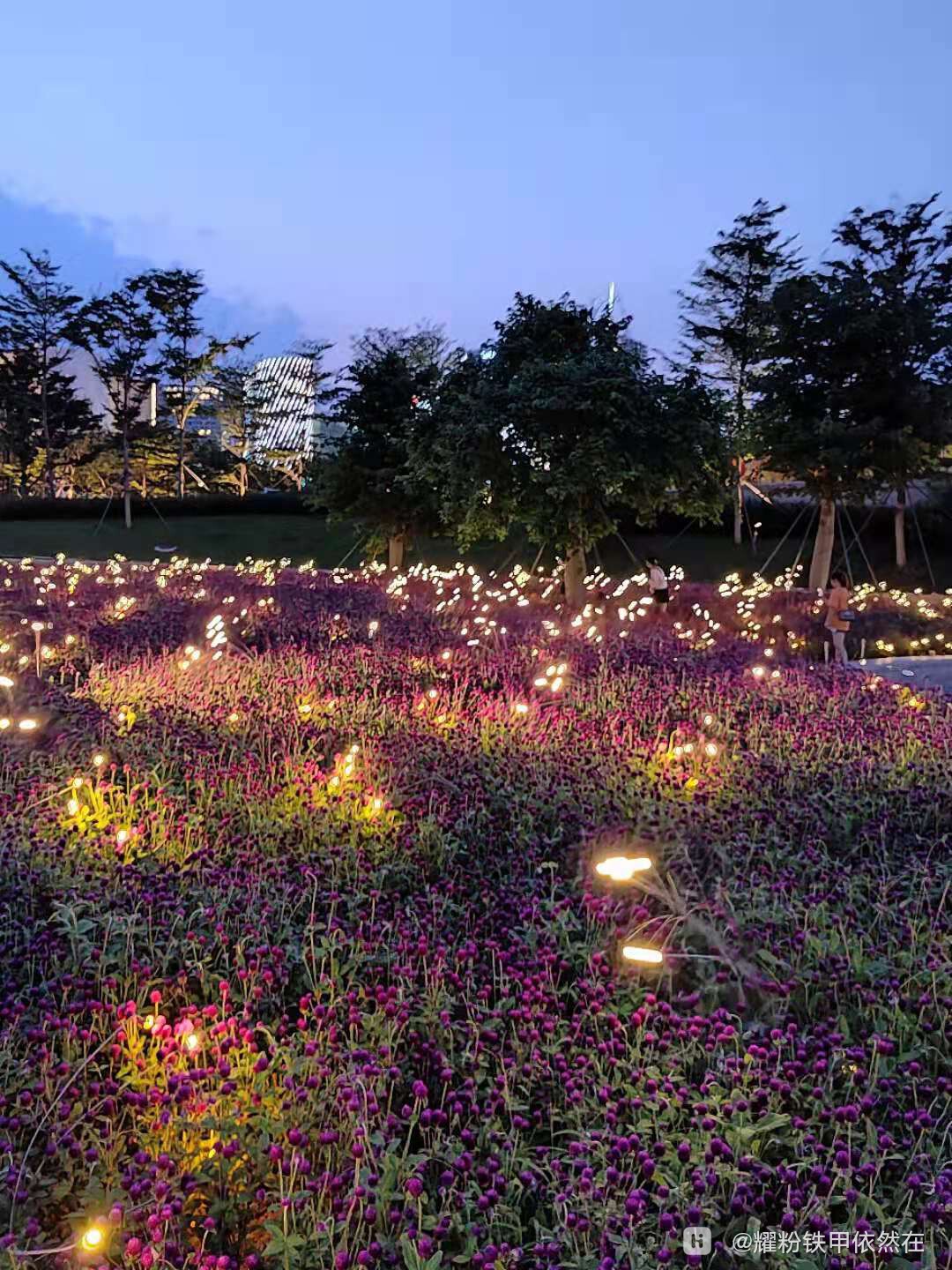 夜色1.jpg