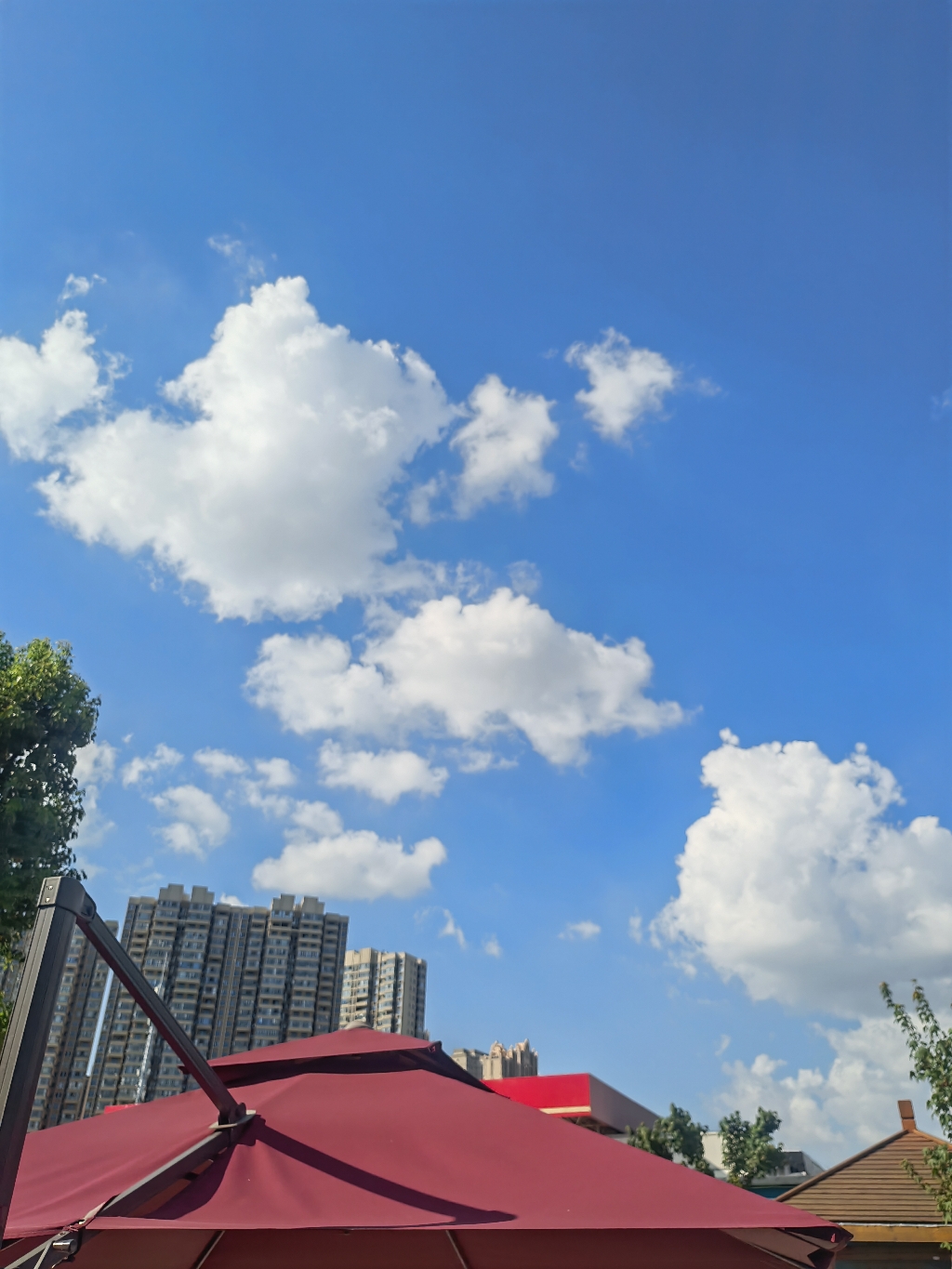 IMG_20210725_164416.jpg