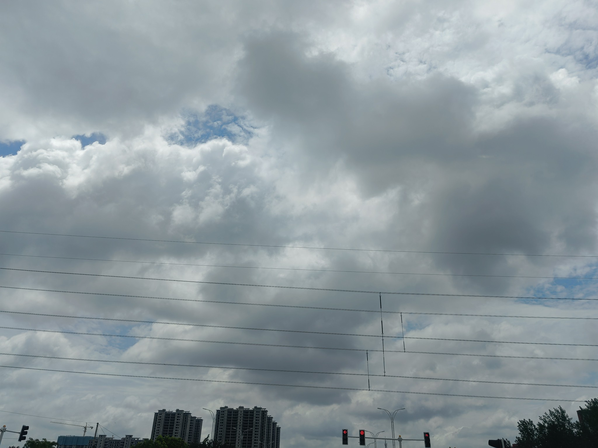 IMG_20210727_120020.jpg