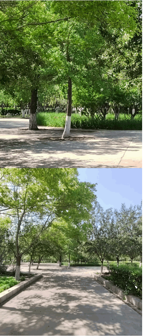 图片23.gif