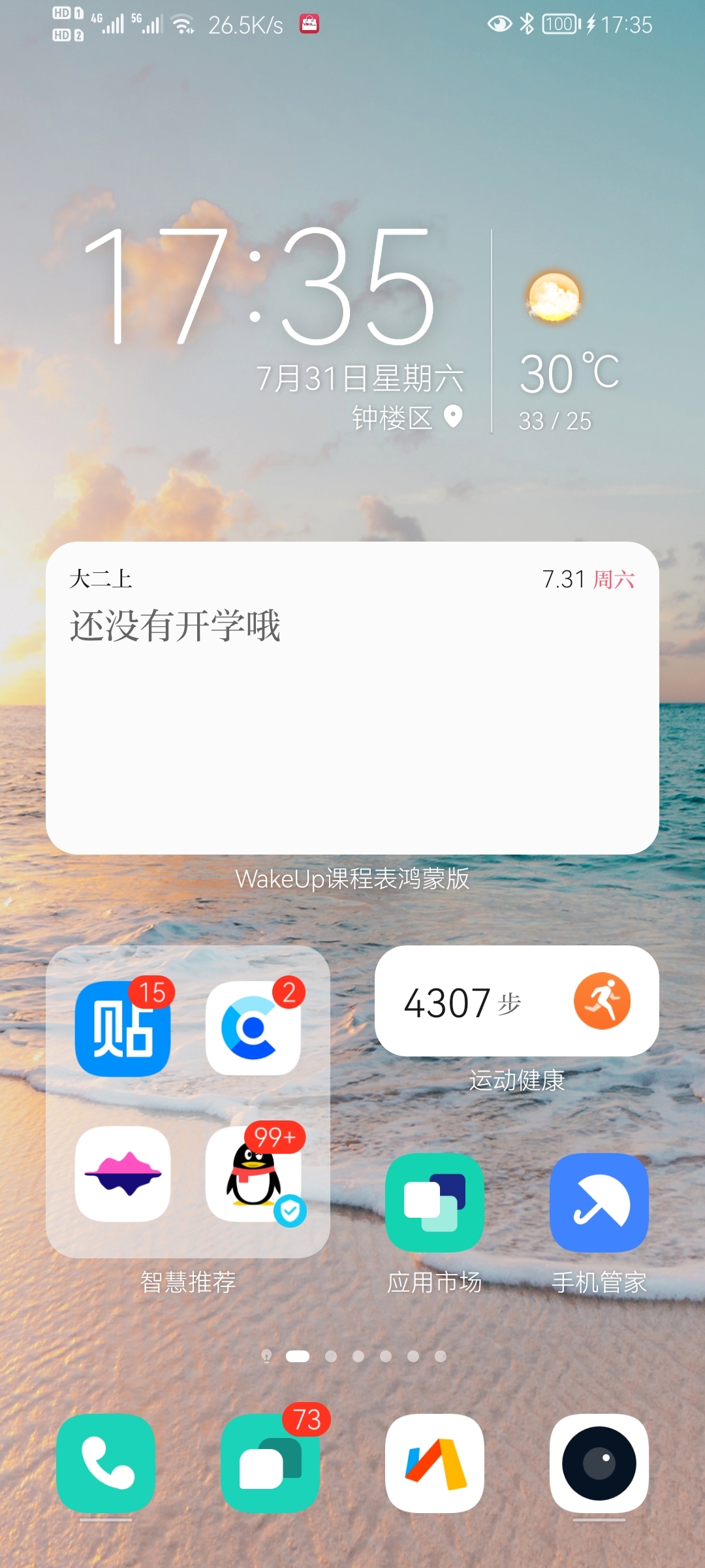 Screenshot_20210731_173500_com.huawei.android.launcher.jpg