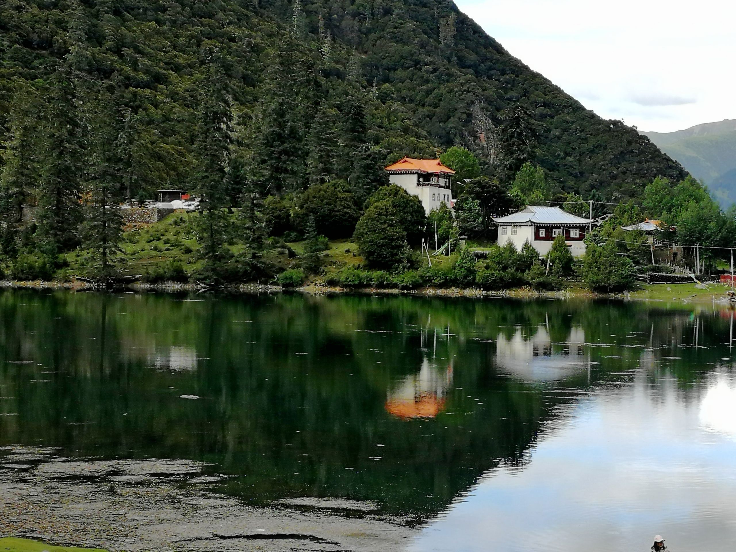 IMG_20210723_173855.jpg