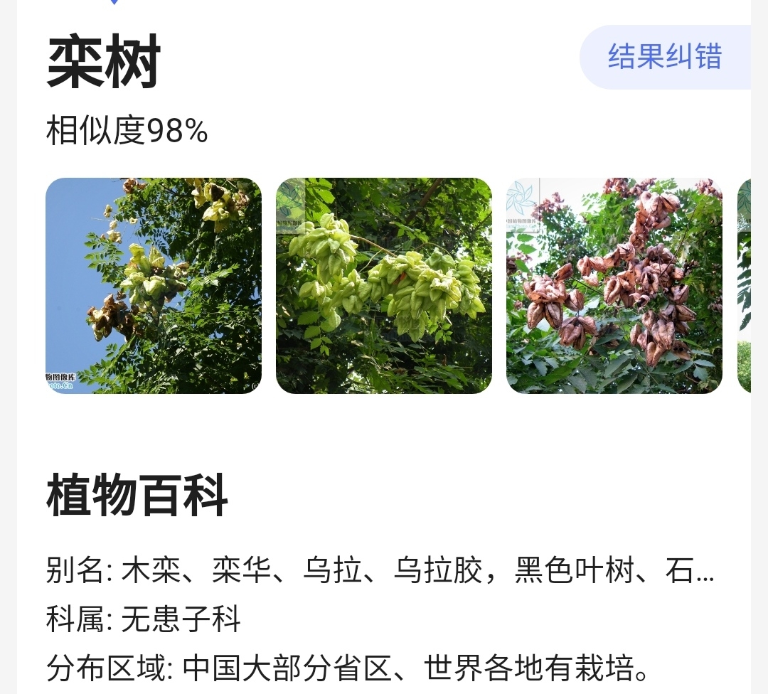 Screenshot_20210730_142700_com.baidu.searchbox_edit_313506895221433.jpg