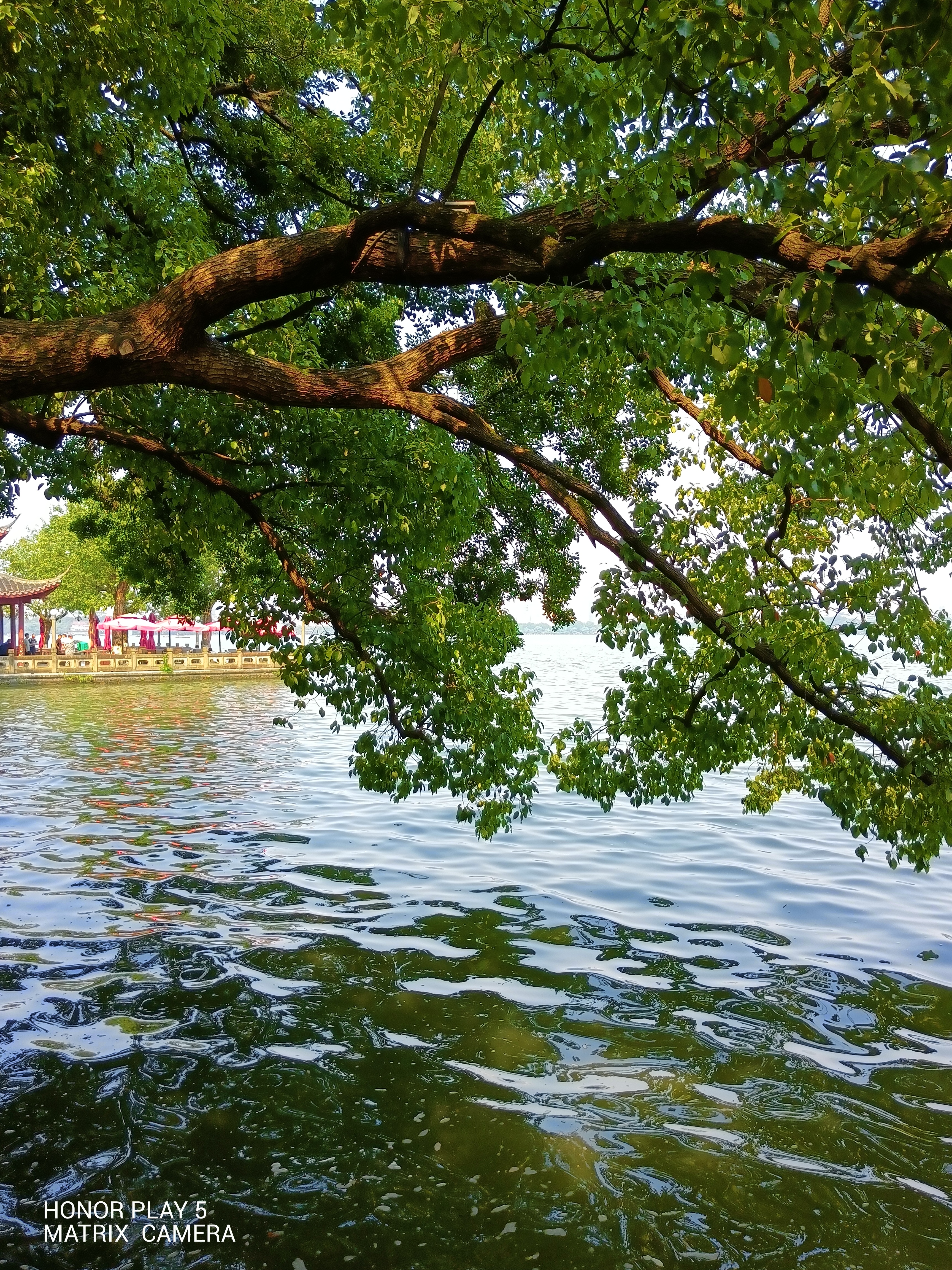 IMG_20210622_150851.jpg