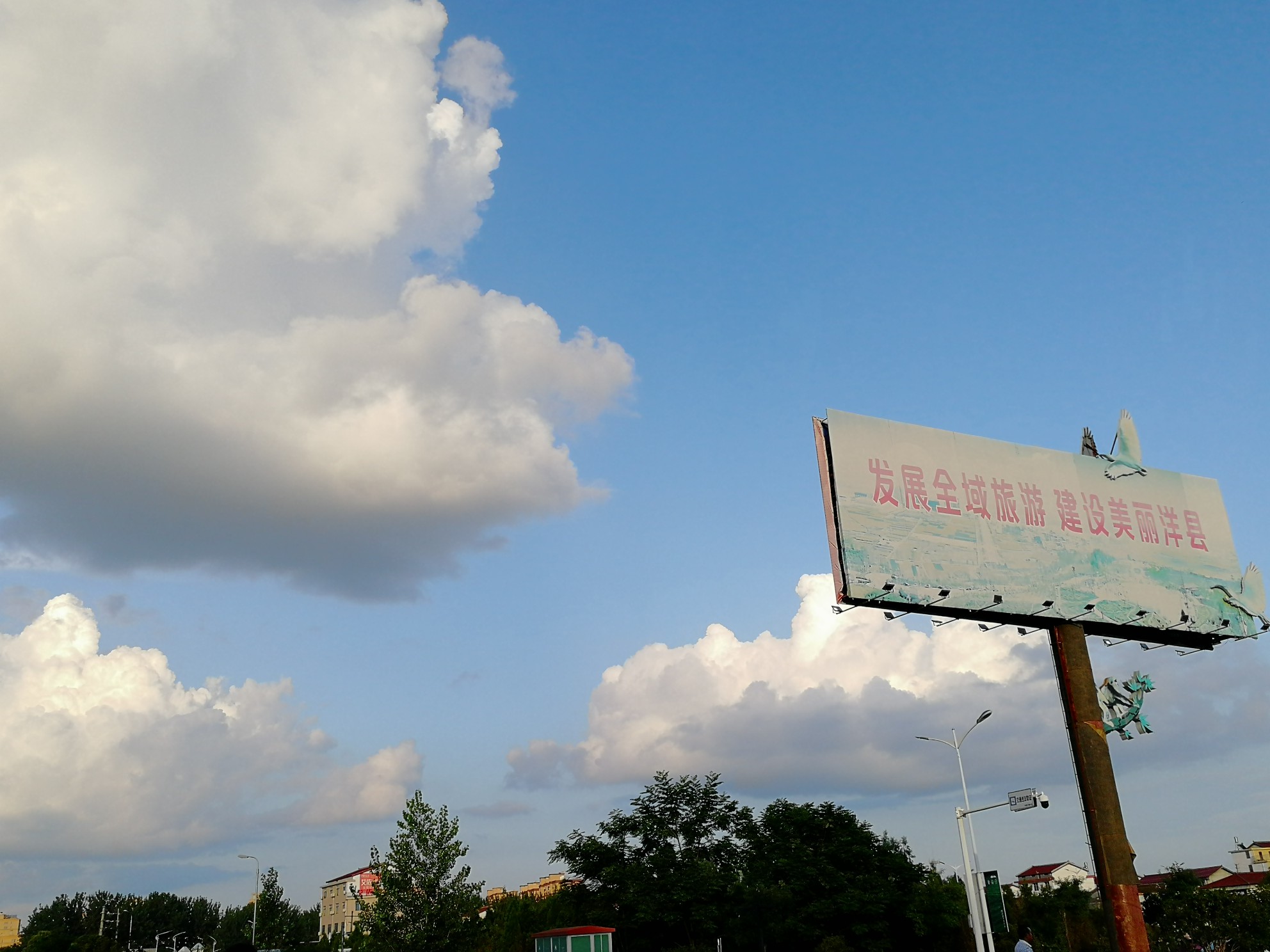 IMG_20210725_185435.jpg