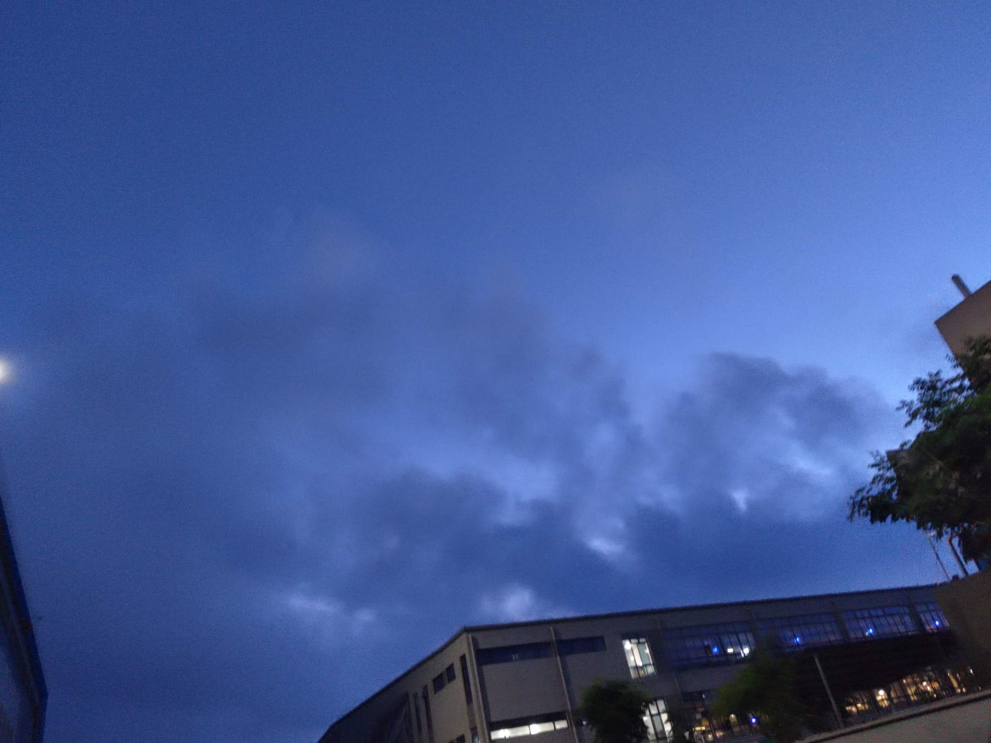 IMG_20210803_045330.jpg