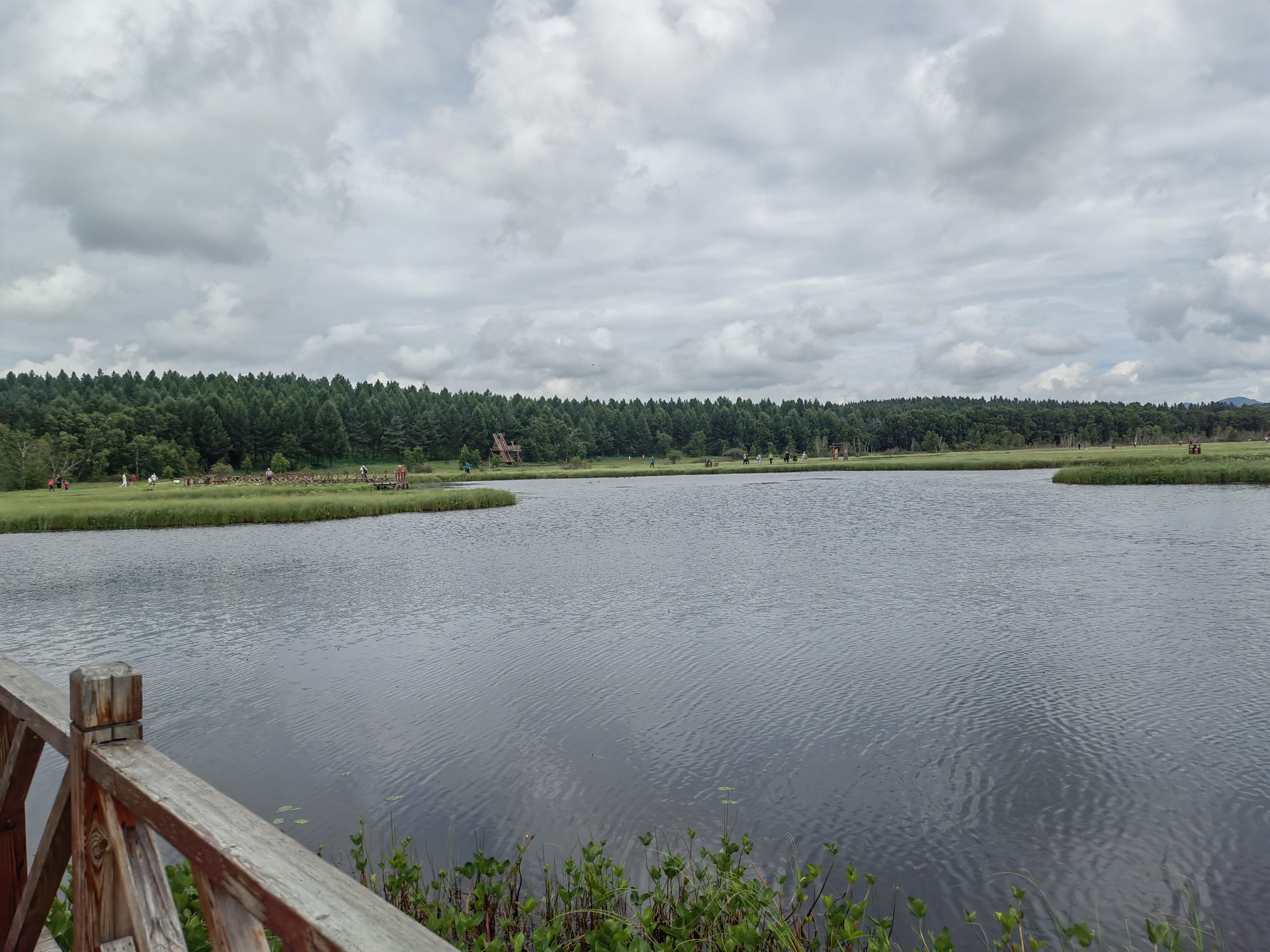 IMG_20210729_095504.jpg