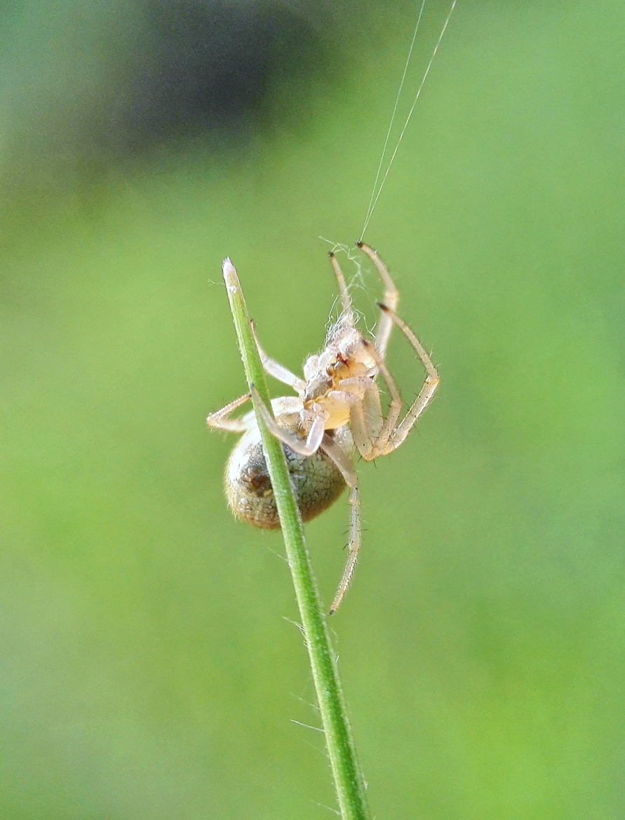 IMG_20161223_165812-01.jpeg
