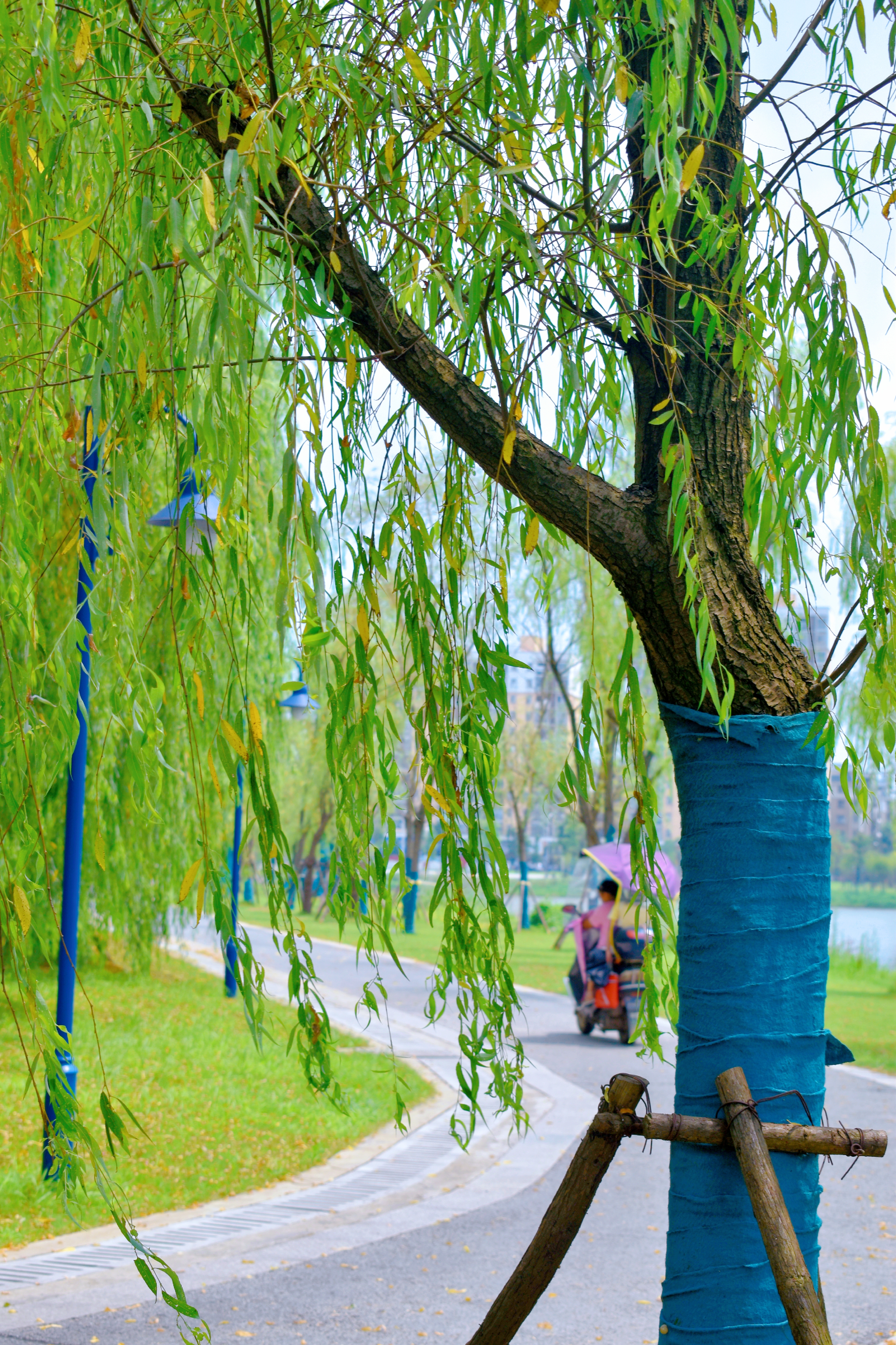 retouch_2021080314143977.jpg
