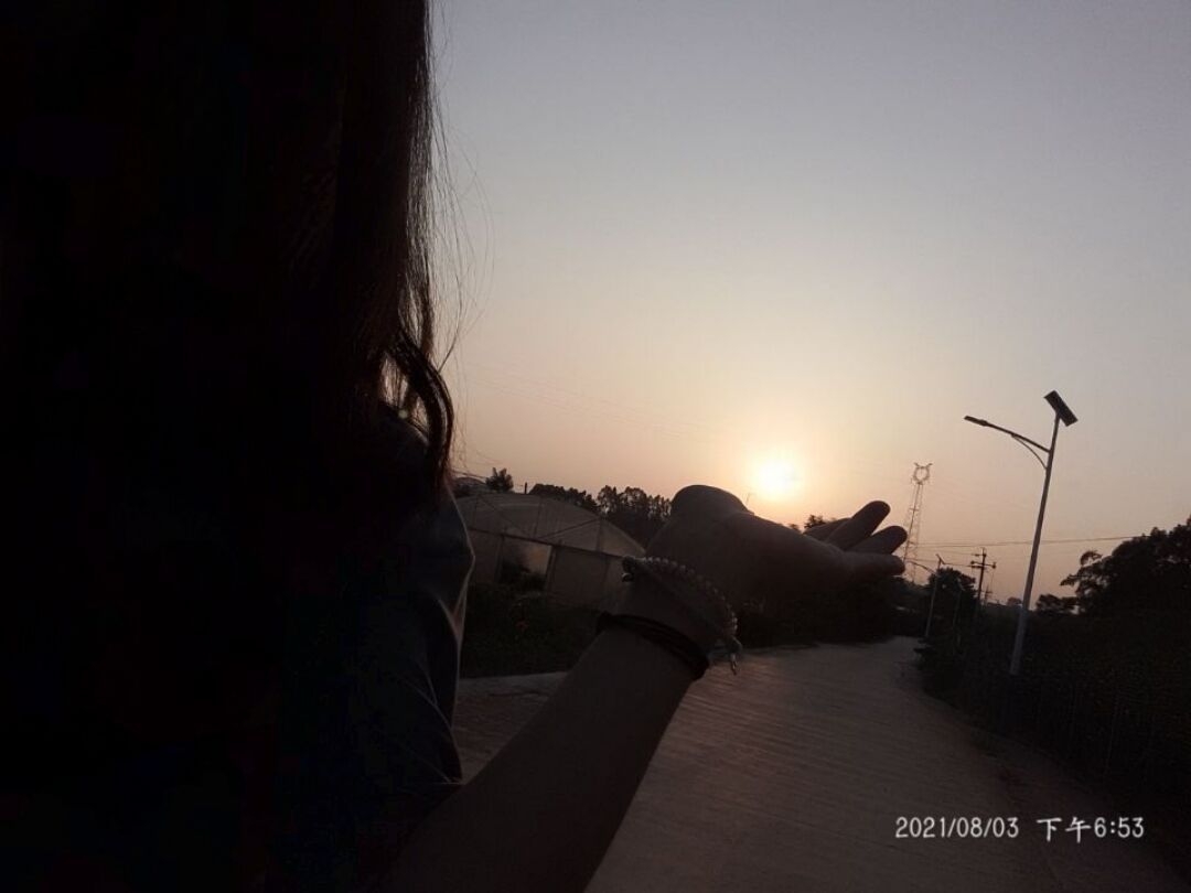 7885ab8b731294a7.jpg