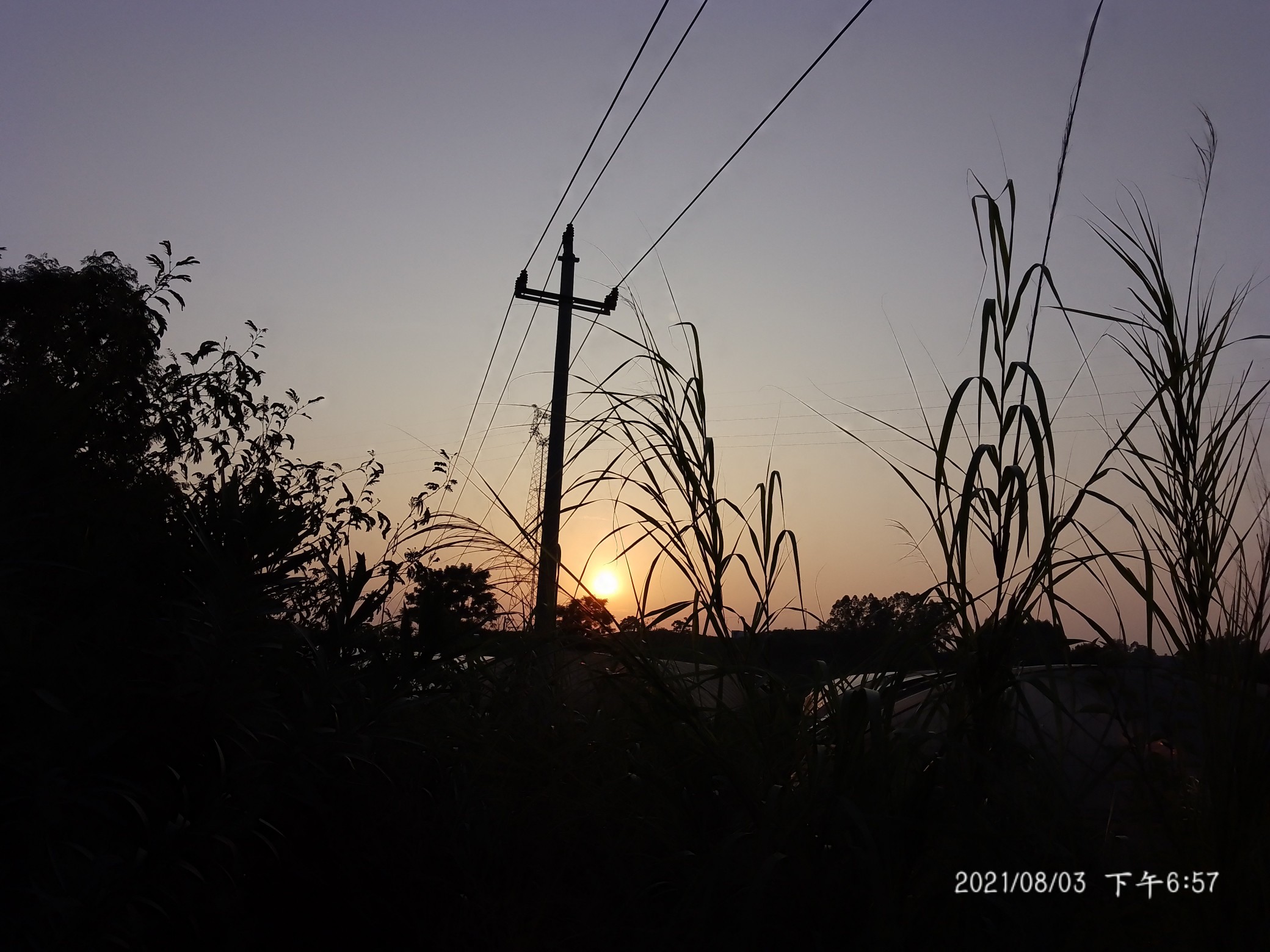 IMG_20210803_185800.jpg