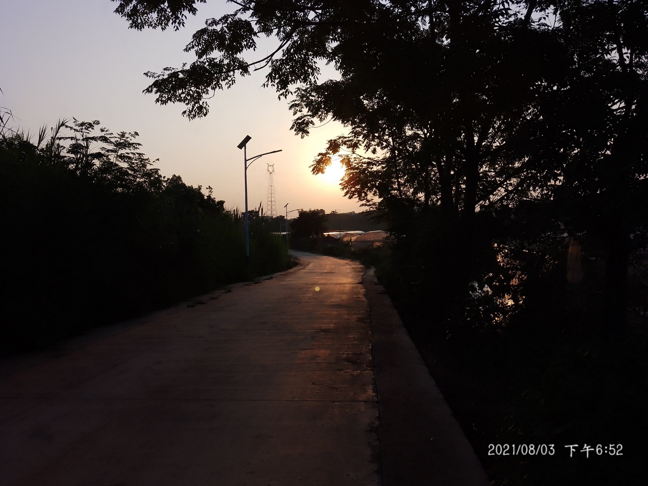 IMG_20210803_185202.jpg