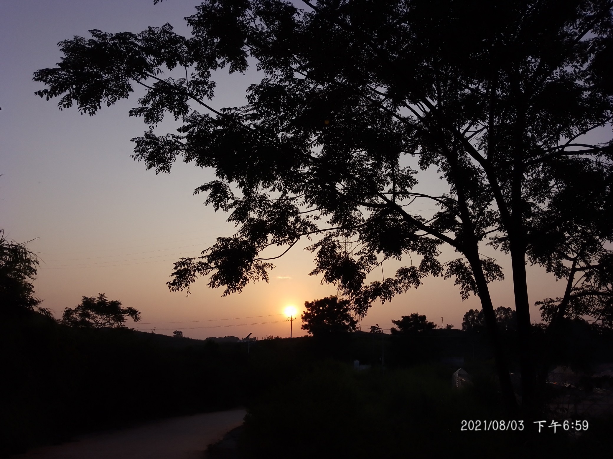 IMG_20210803_185951.jpg