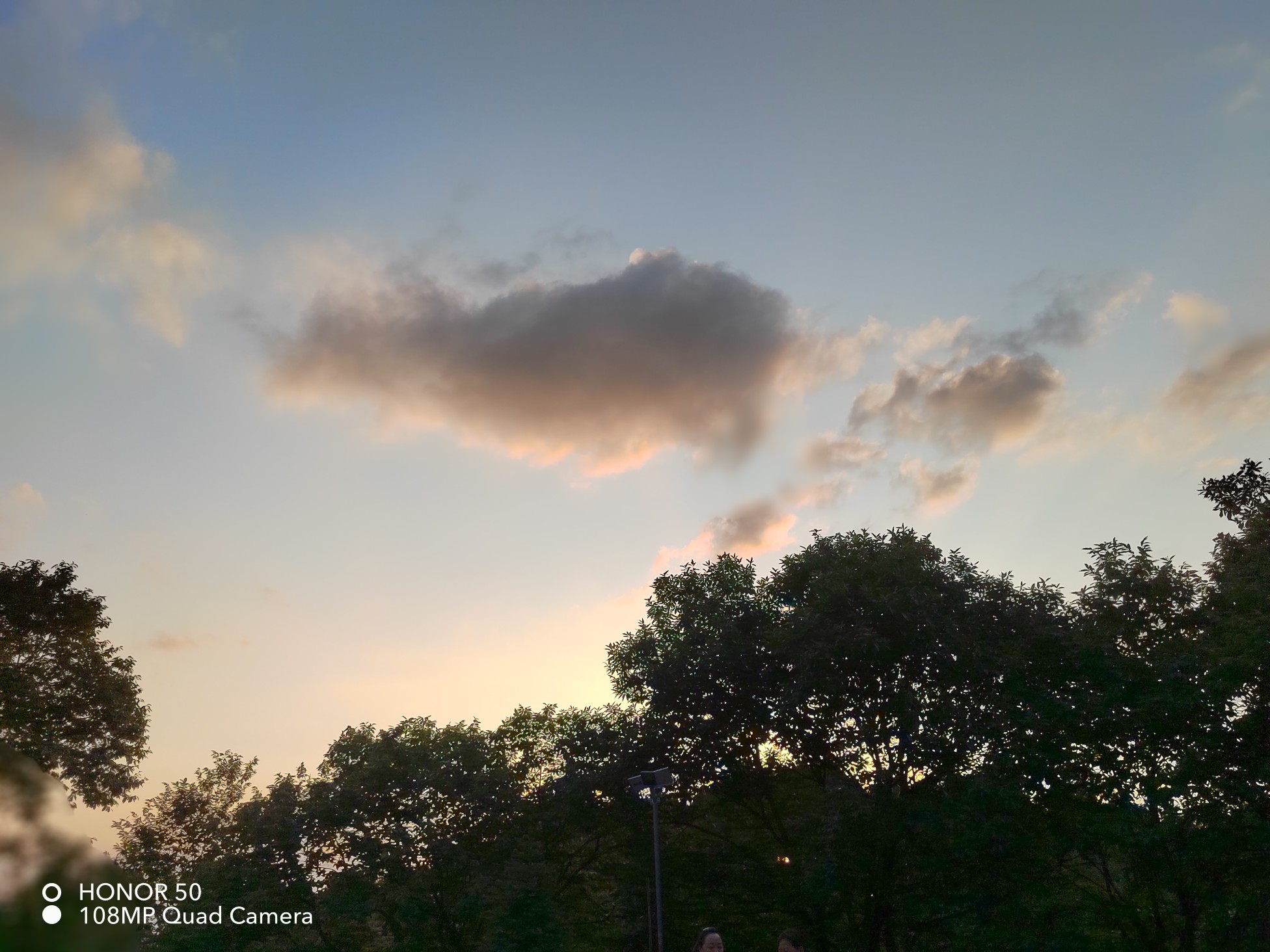 IMG_20210727_193335.jpg