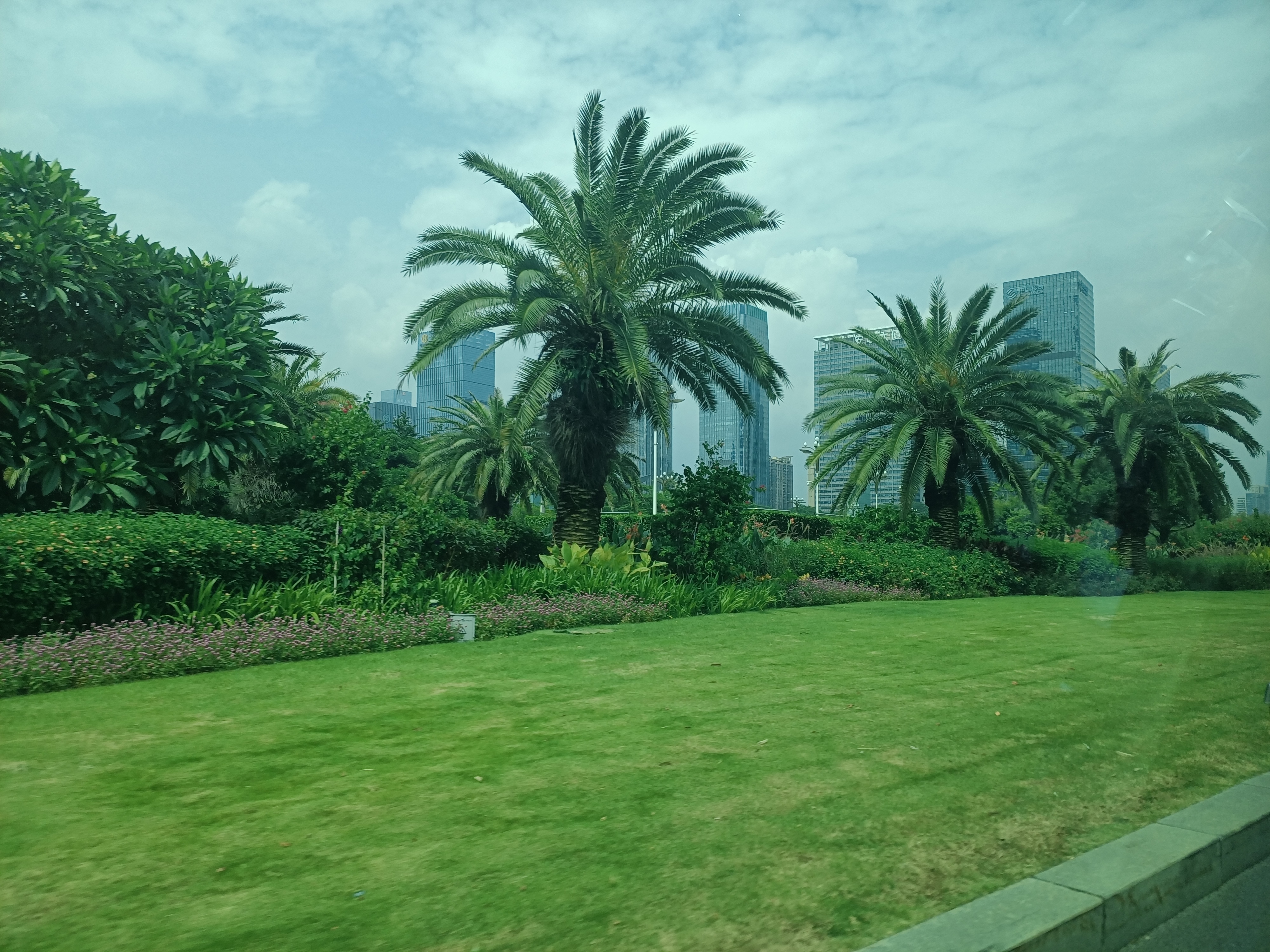 IMG_20210801_143705.jpg